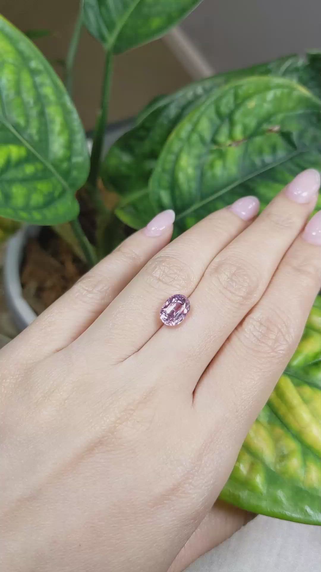 3.10 Ct. Pink Sapphire from Ceylon (Sri Lanka) Size Video