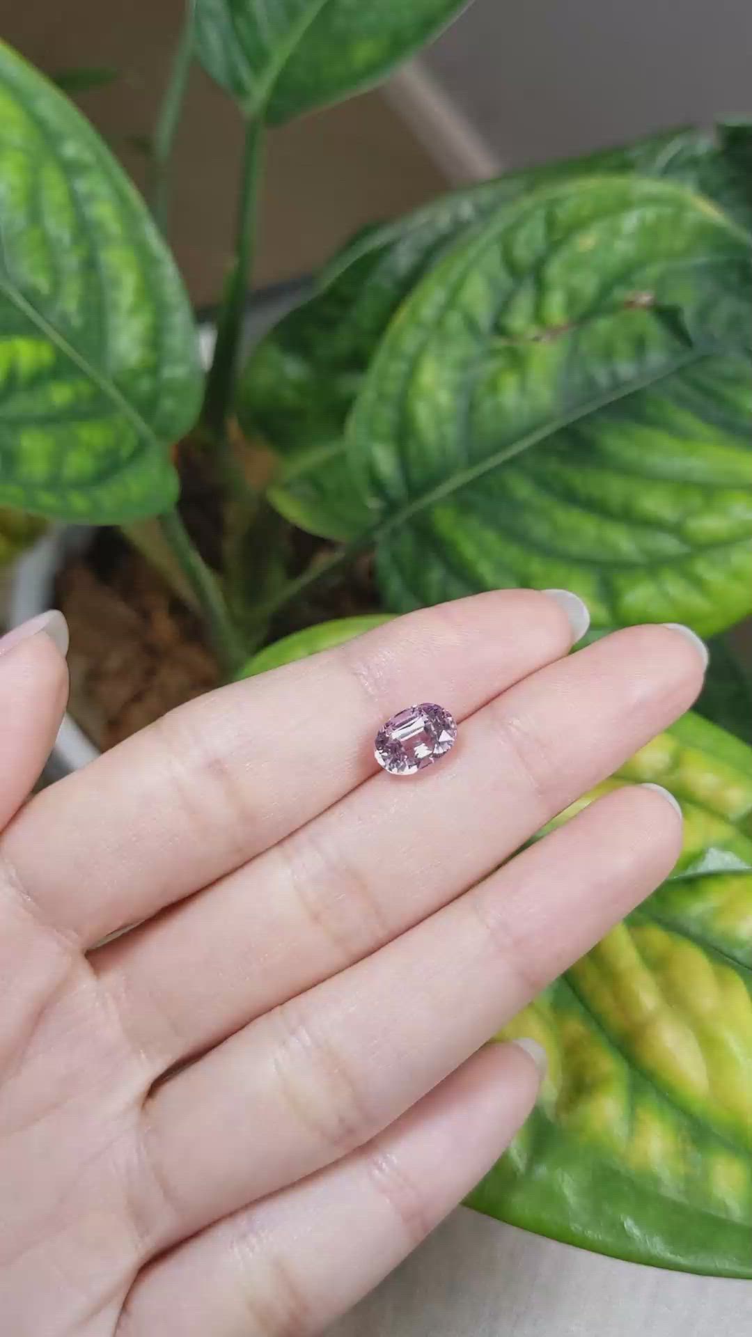3.10 Ct. Pink Sapphire from Ceylon (Sri Lanka) Size Video