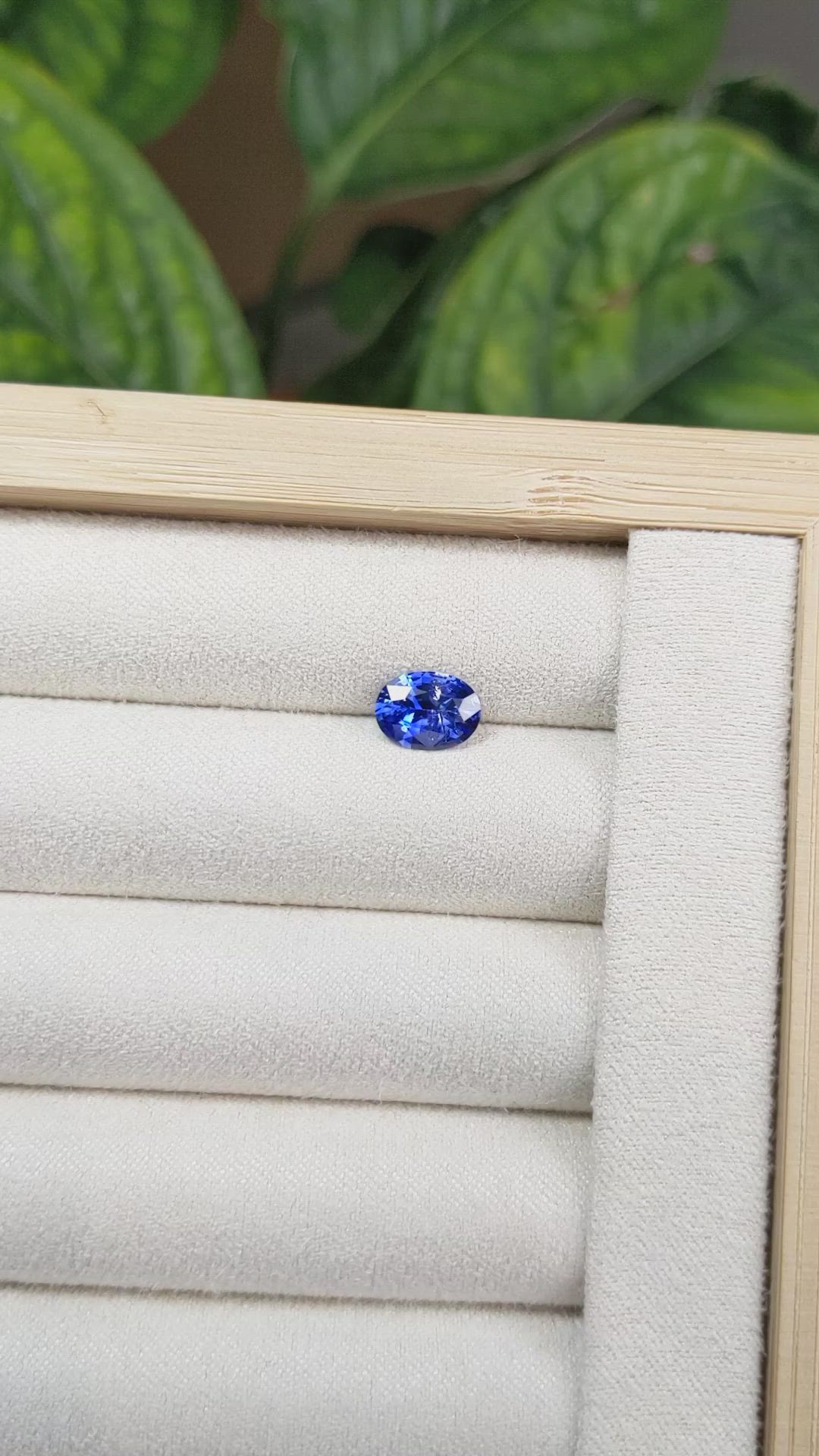 1.54 Ct. Blue Sapphire from Ceylon (Sri Lanka) Size Video