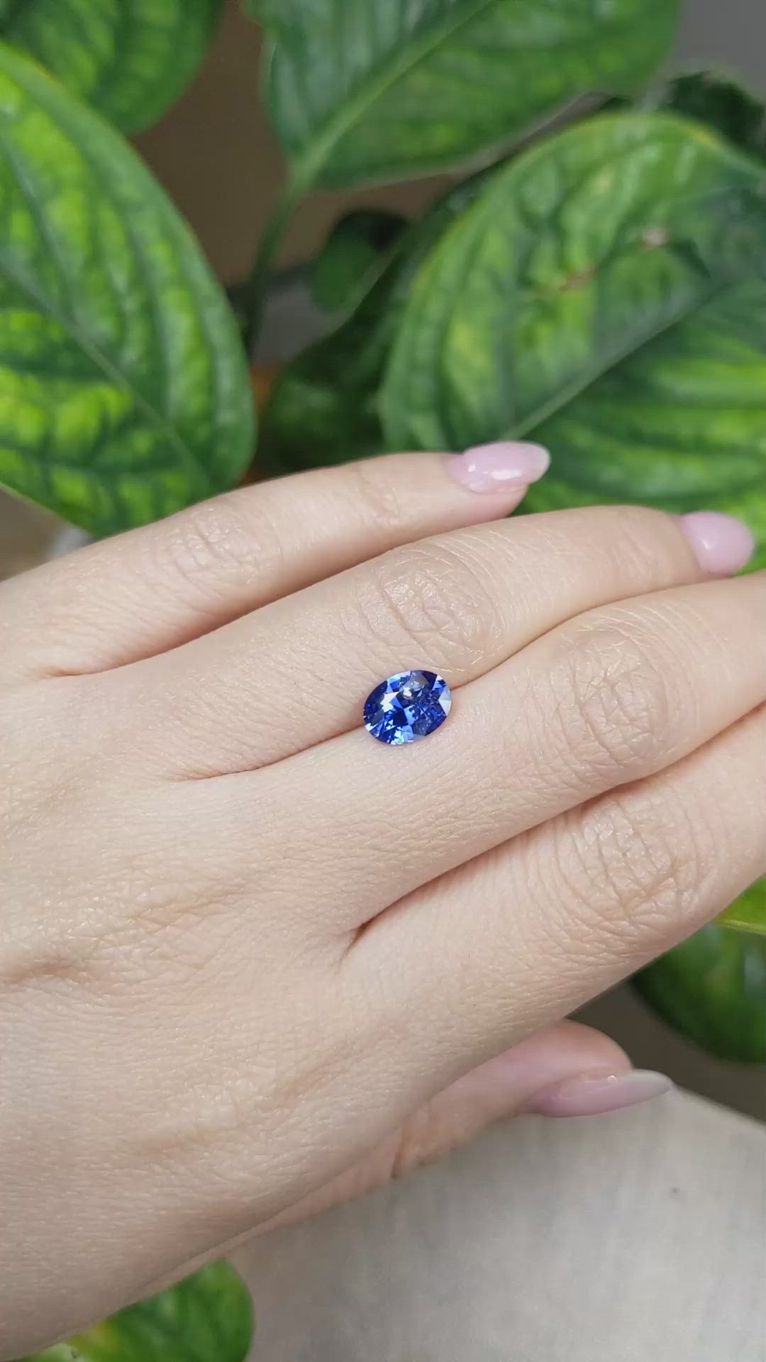 1.54 Ct. Blue Sapphire from Ceylon (Sri Lanka) Size Video