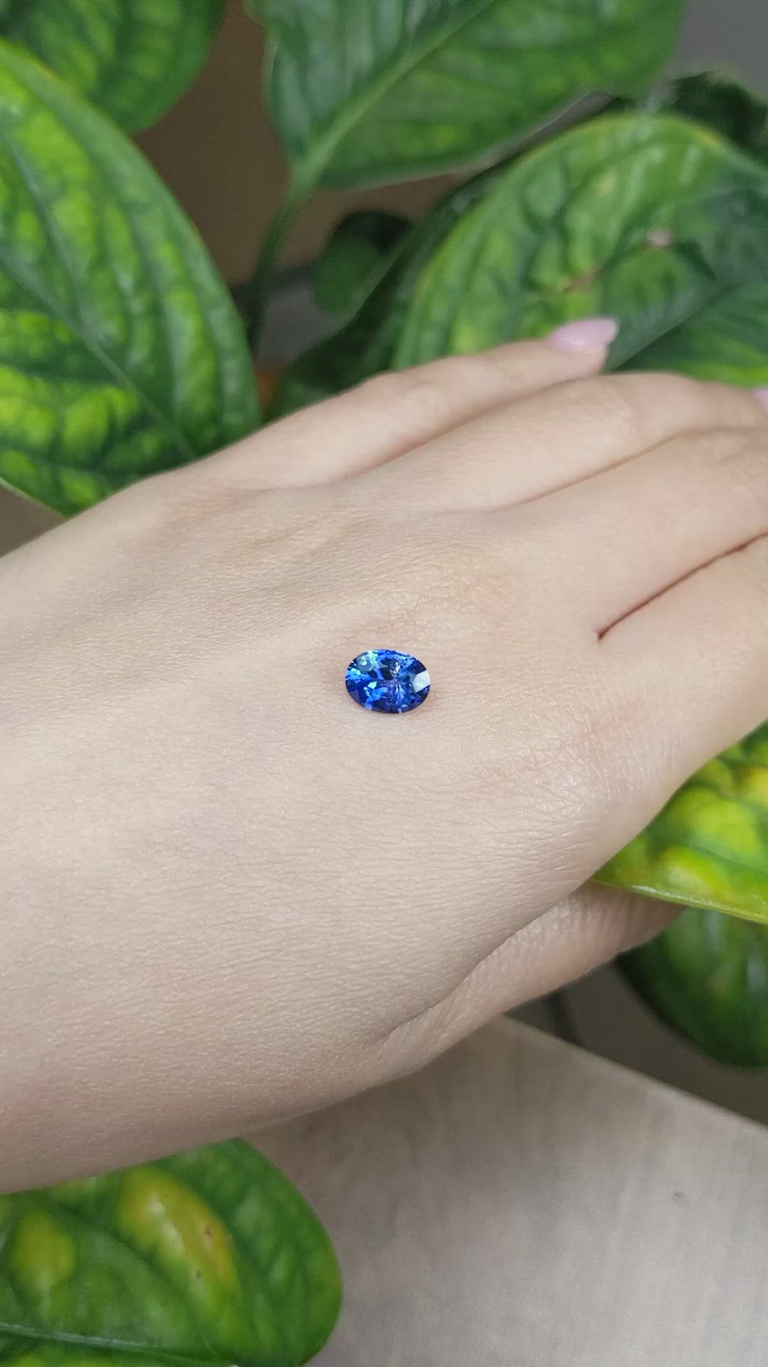 1.54 Ct. Blue Sapphire from Ceylon (Sri Lanka) Size Video