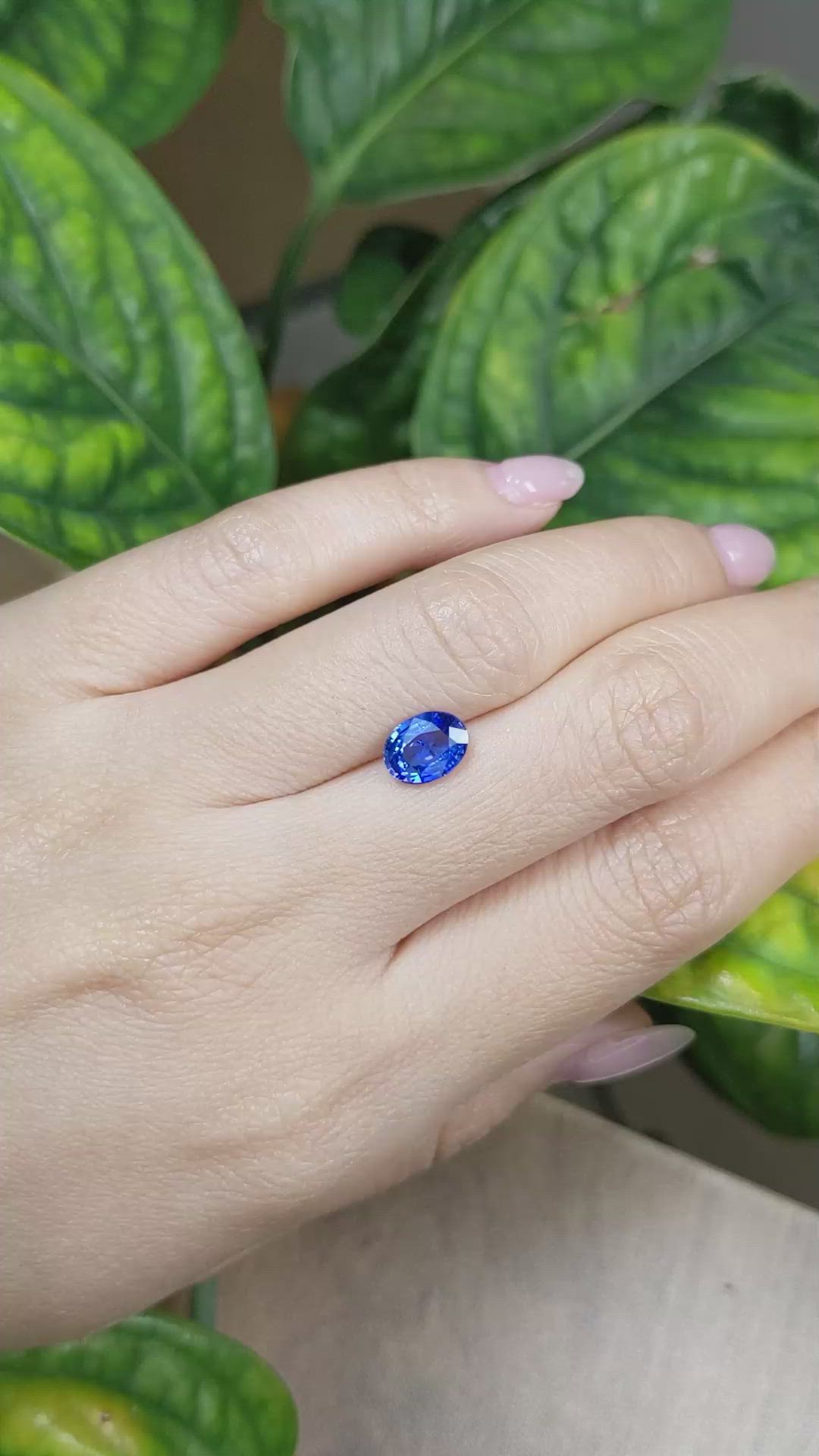 1.75 Ct. Blue Sapphire from Ceylon (Sri Lanka) Size Video