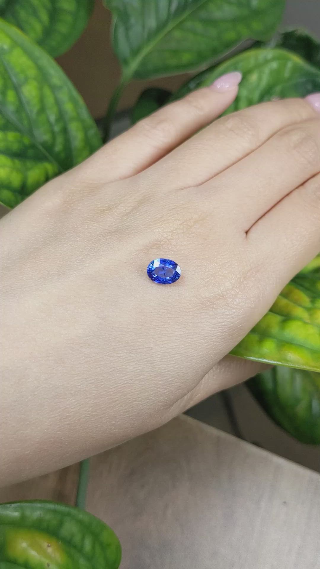 1.75 Ct. Blue Sapphire from Ceylon (Sri Lanka) Size Video