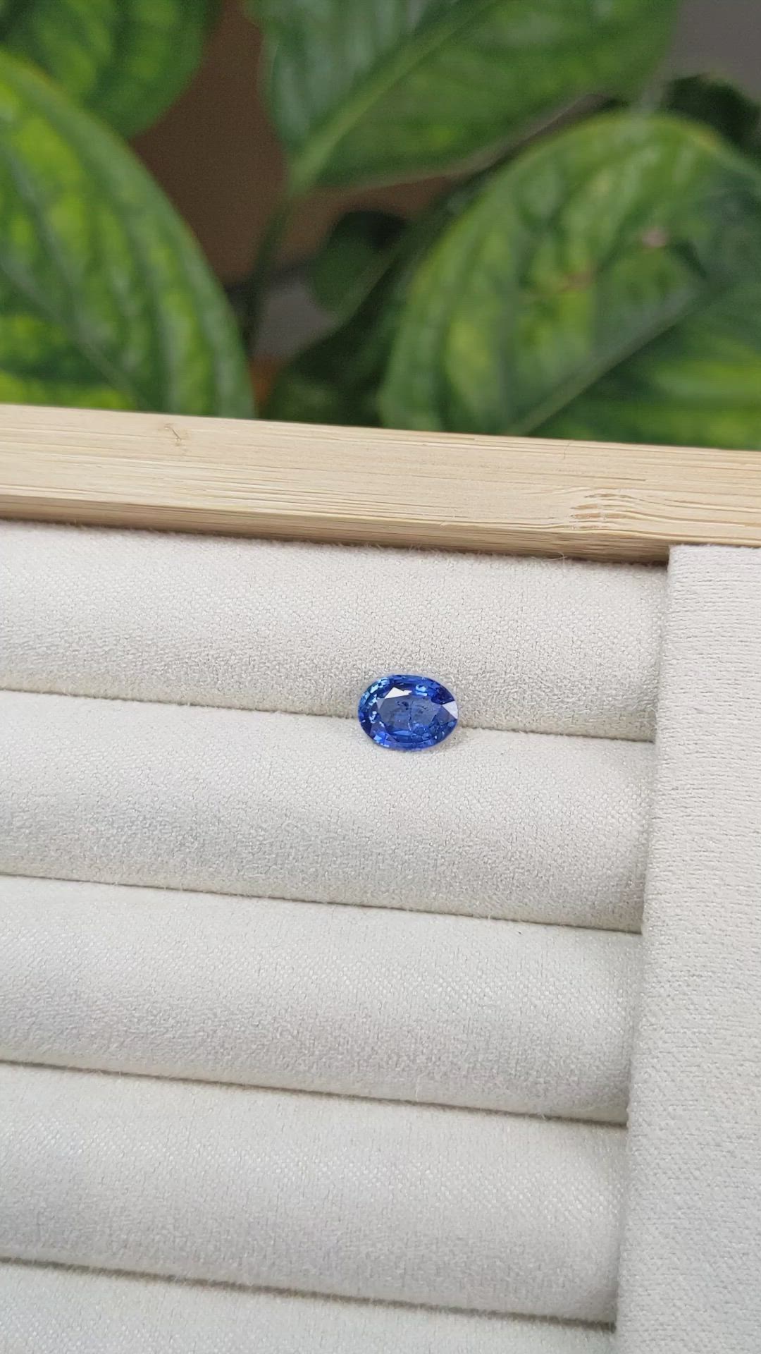1.75 Ct. Blue Sapphire from Ceylon (Sri Lanka) Size Video