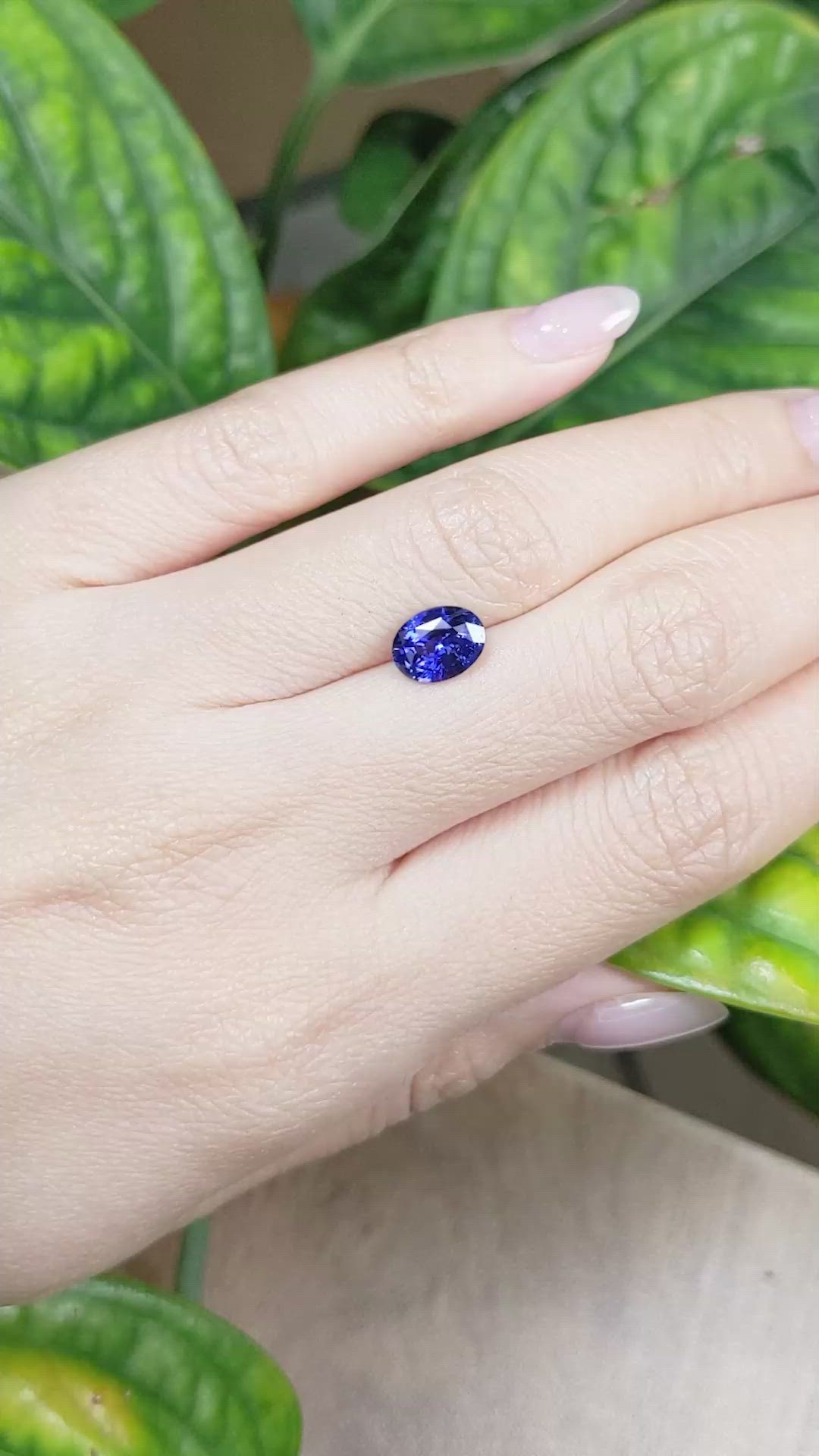 1.81 Ct. Blue Sapphire from Ceylon (Sri Lanka) Size Video