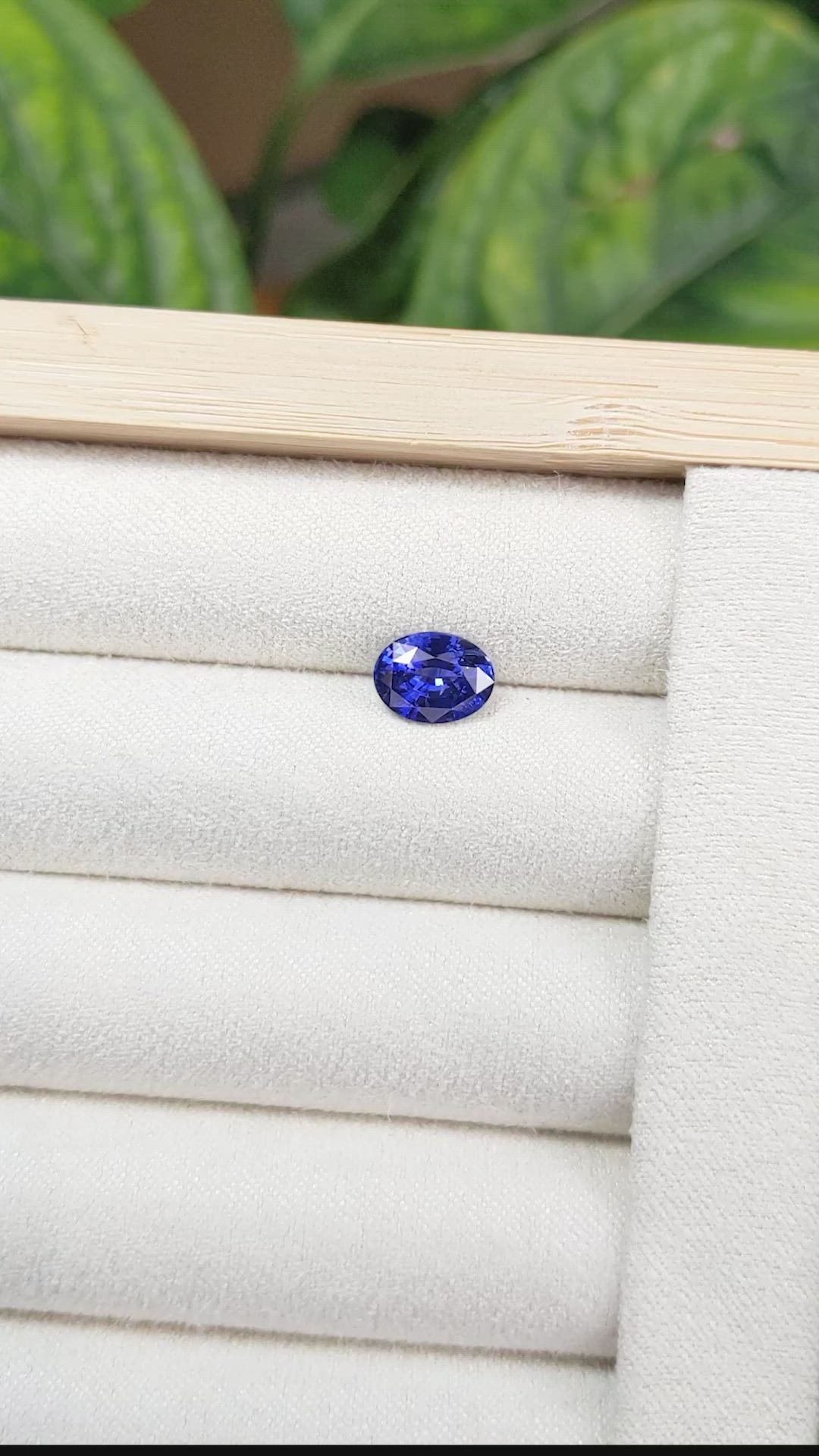 1.81 Ct. Blue Sapphire from Ceylon (Sri Lanka) Size Video