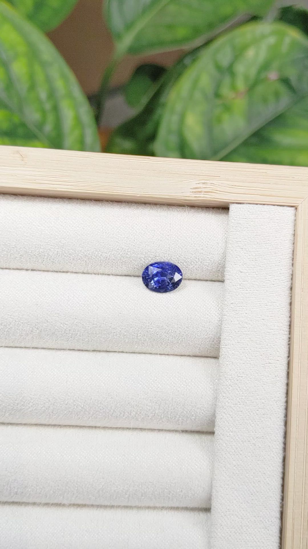 1.85 Ct. Blue Sapphire from Ceylon (Sri Lanka) Size Video