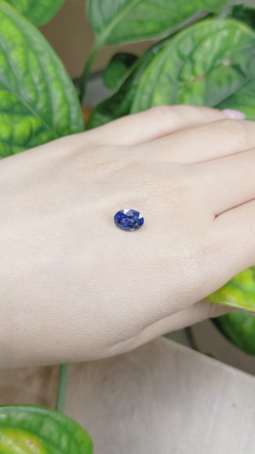 1.85 Ct. Blue Sapphire from Ceylon (Sri Lanka) Size Video