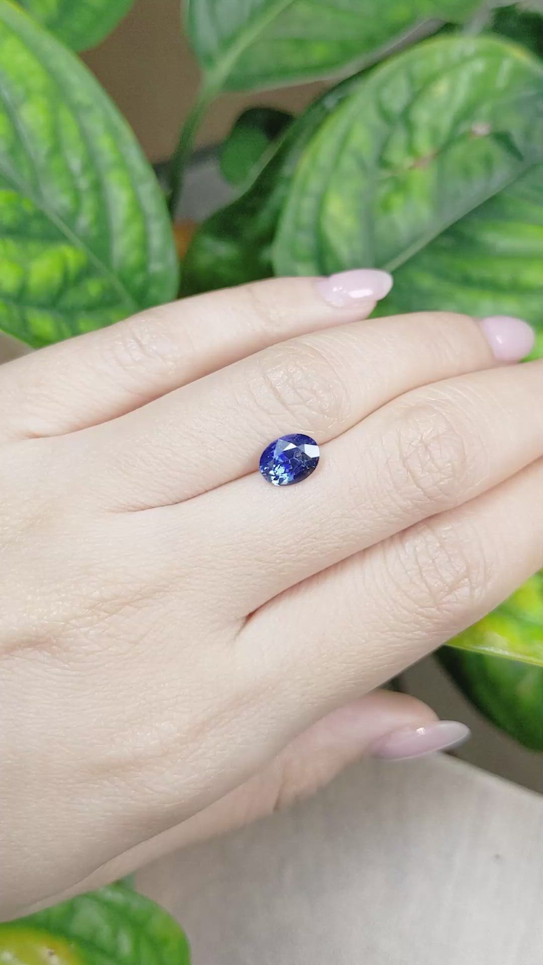1.85 Ct. Blue Sapphire from Ceylon (Sri Lanka) Size Video