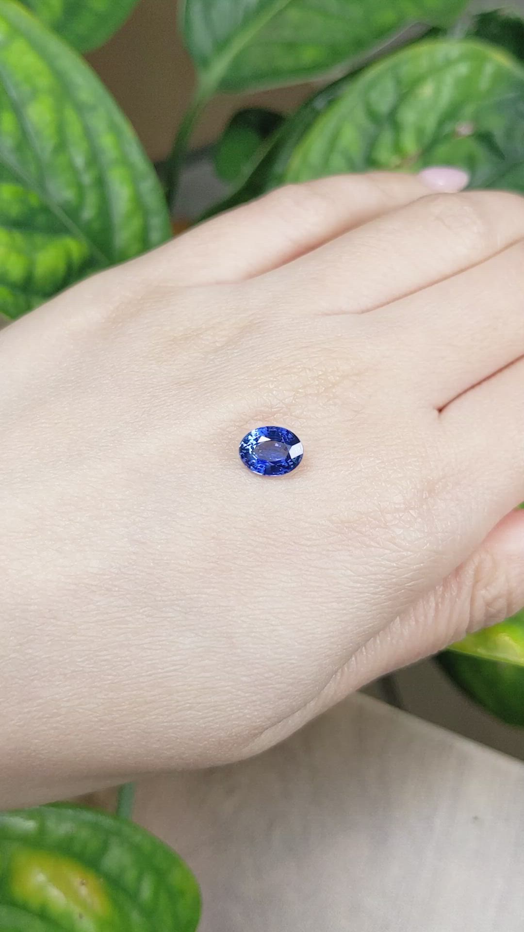 1.87 Ct. Blue Sapphire from Ceylon (Sri Lanka) Size Video