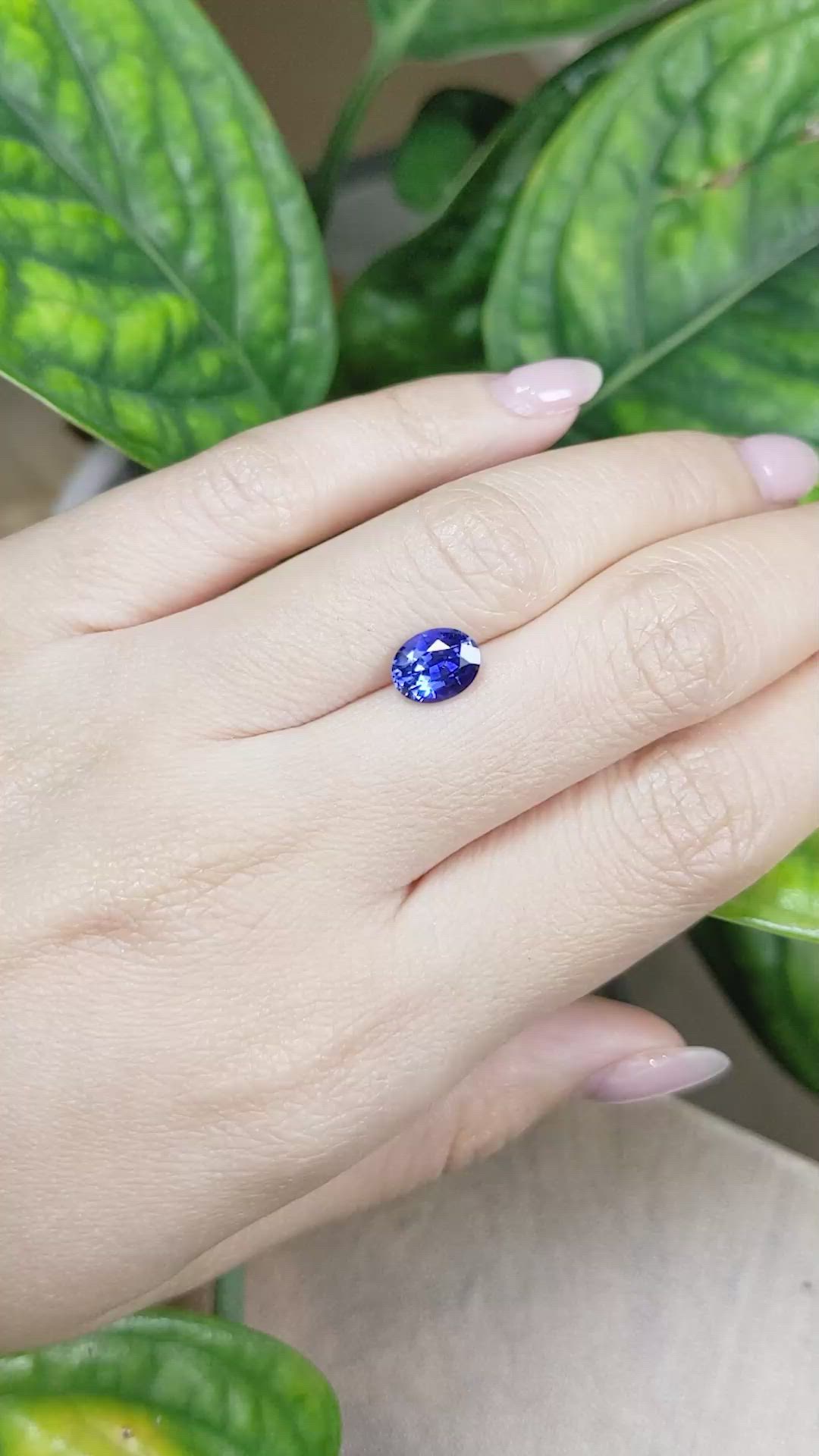 1.90 Ct. Blue Sapphire from Ceylon (Sri Lanka) Size Video