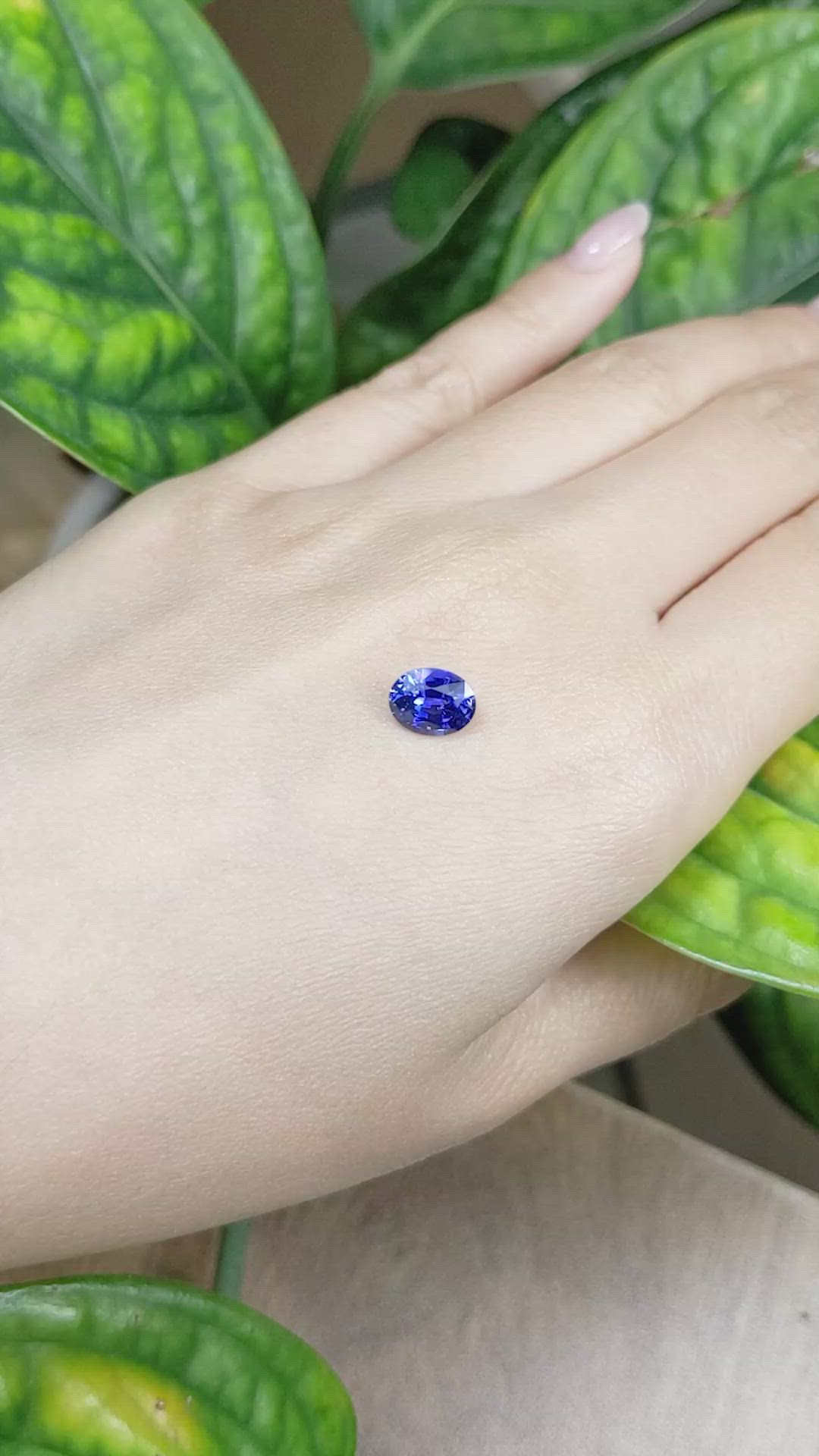 1.90 Ct. Blue Sapphire from Ceylon (Sri Lanka) Size Video