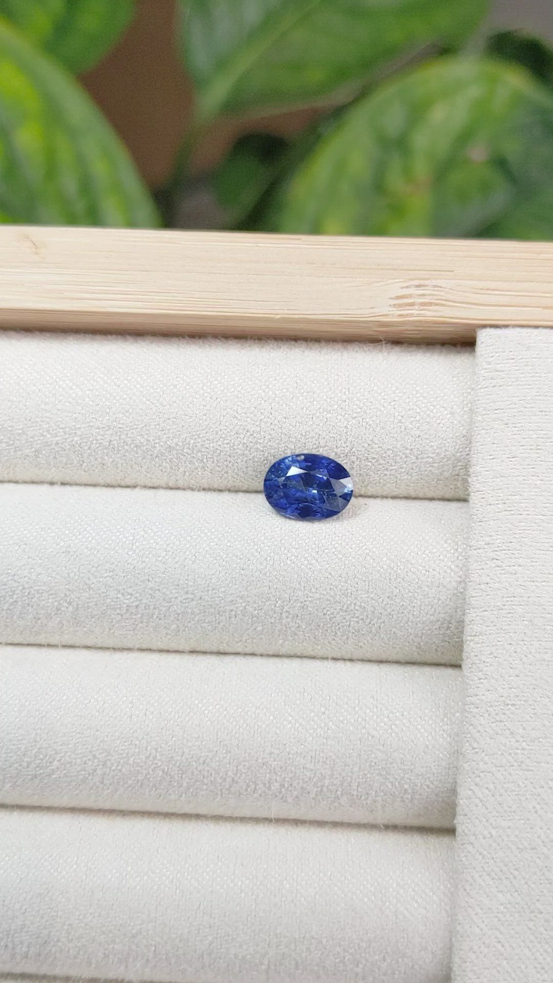 1.95 Ct. Blue Sapphire from Ceylon (Sri Lanka) Size Video