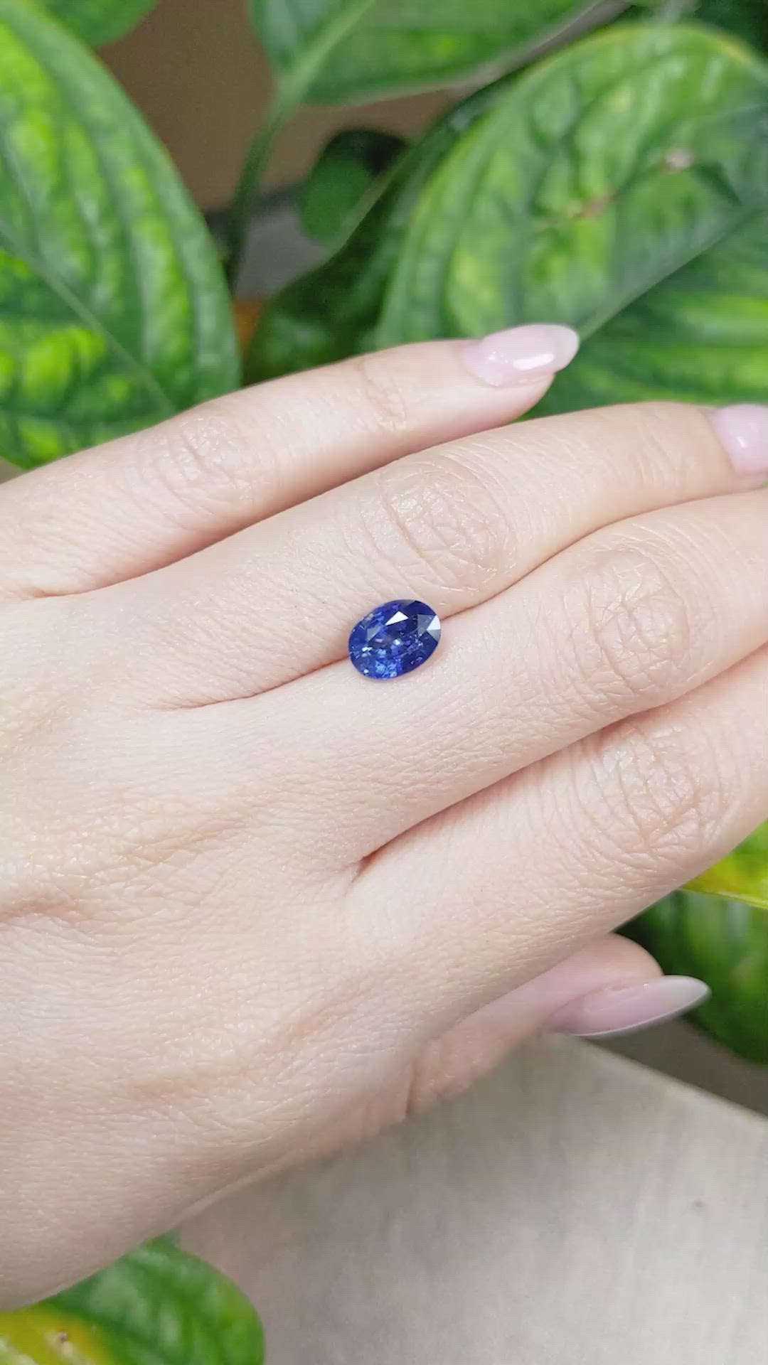 1.95 Ct. Blue Sapphire from Ceylon (Sri Lanka) Size Video