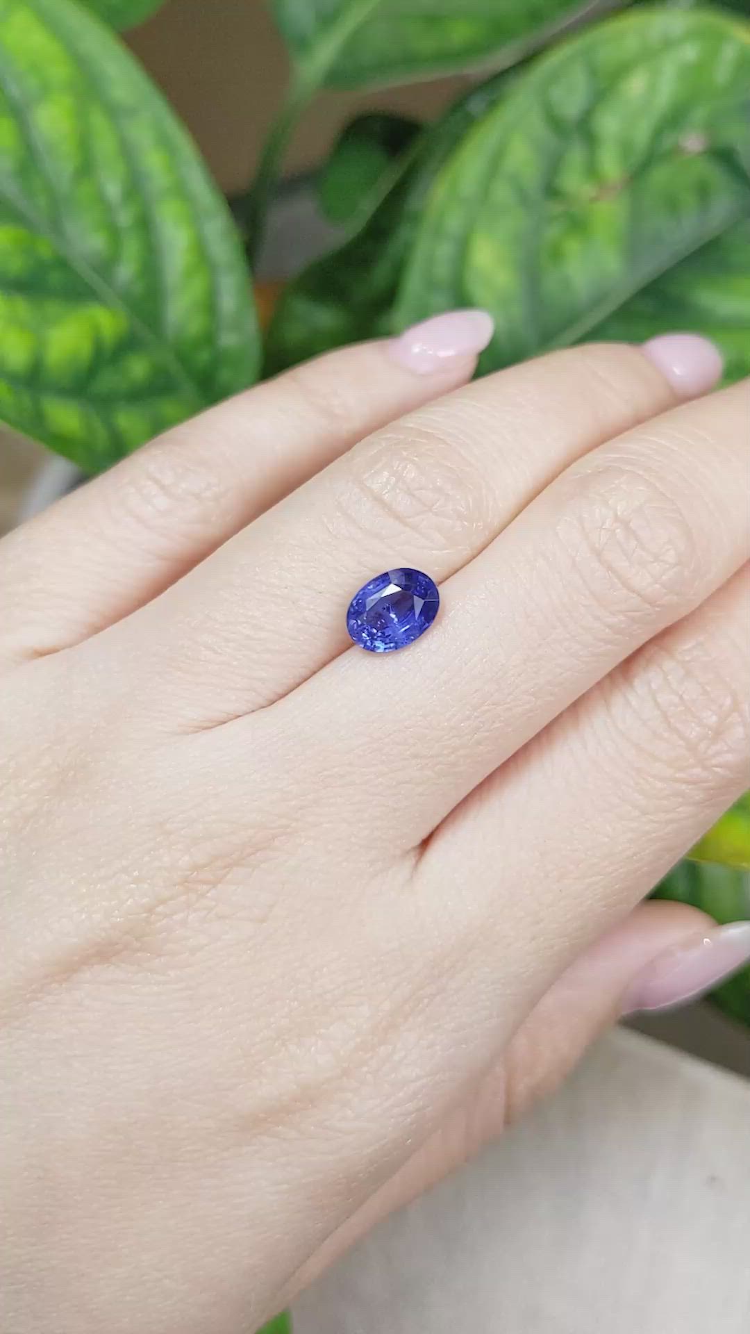 2.10 Ct. Blue Sapphire from Ceylon (Sri Lanka) Size Video