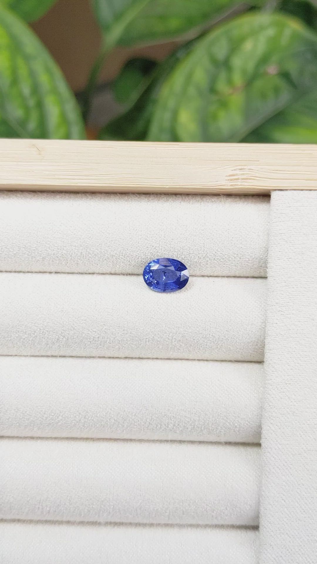 2.10 Ct. Blue Sapphire from Ceylon (Sri Lanka) Size Video