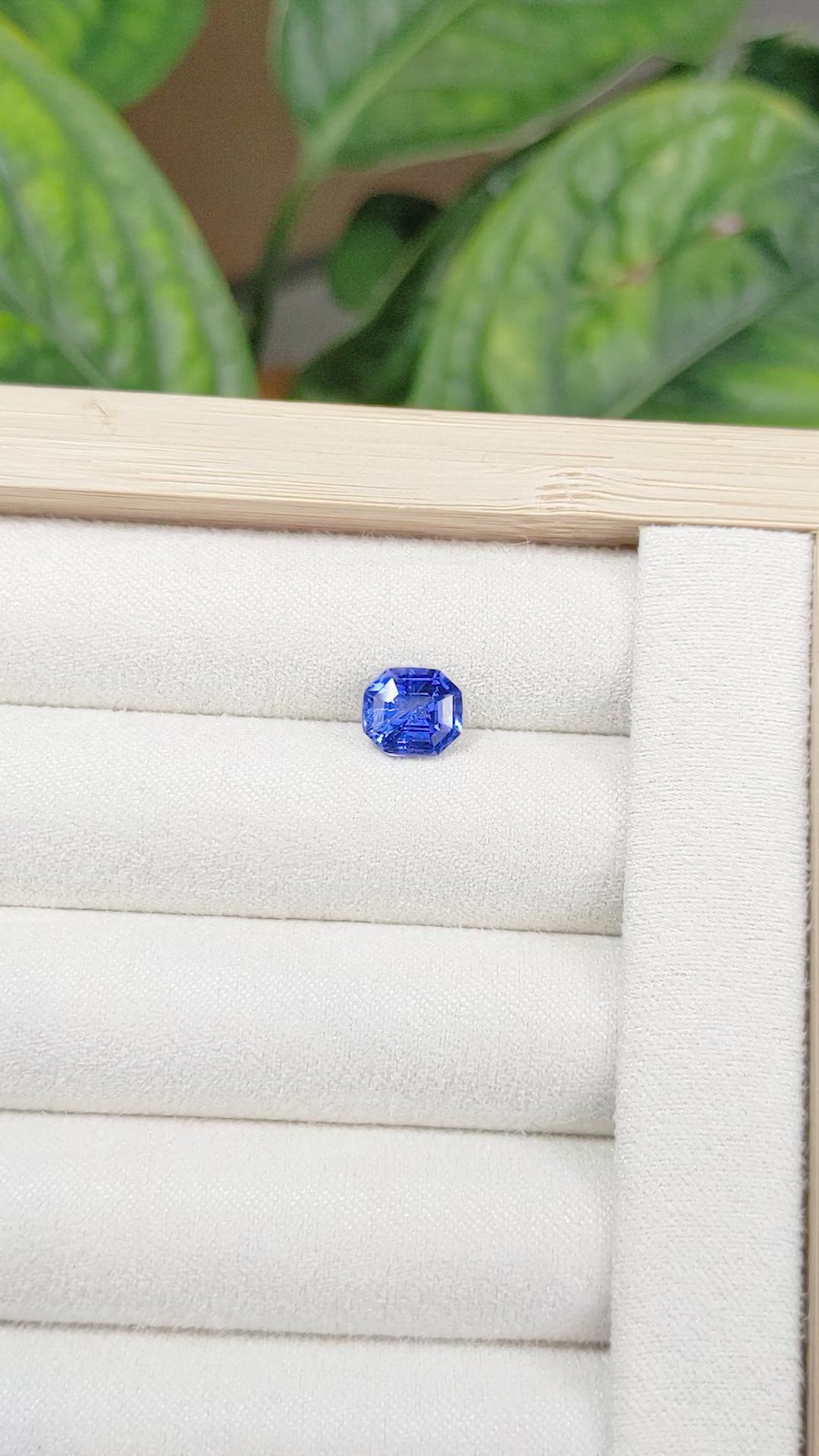 2.33 Ct. Blue Sapphire from Ceylon (Sri Lanka) Size Video