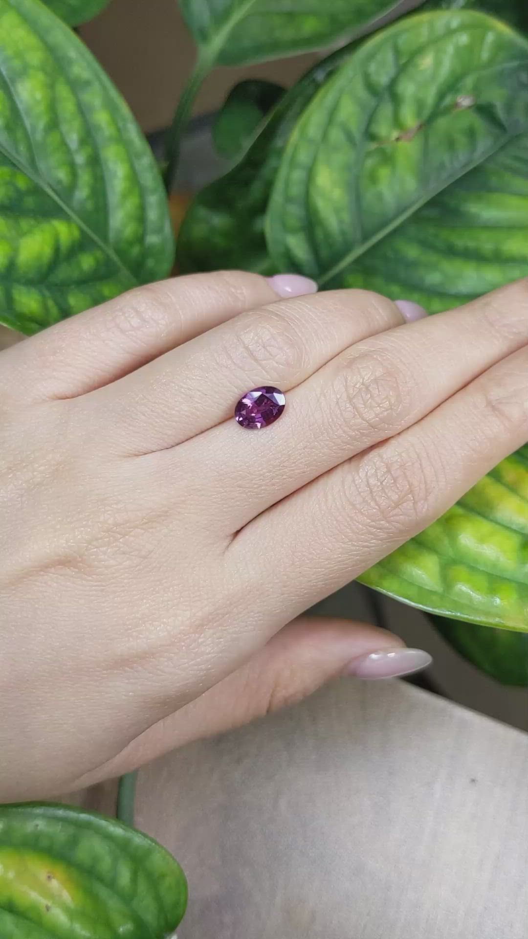 1.84 Ct. Purple Sapphire from Ceylon (Sri Lanka) Size Video