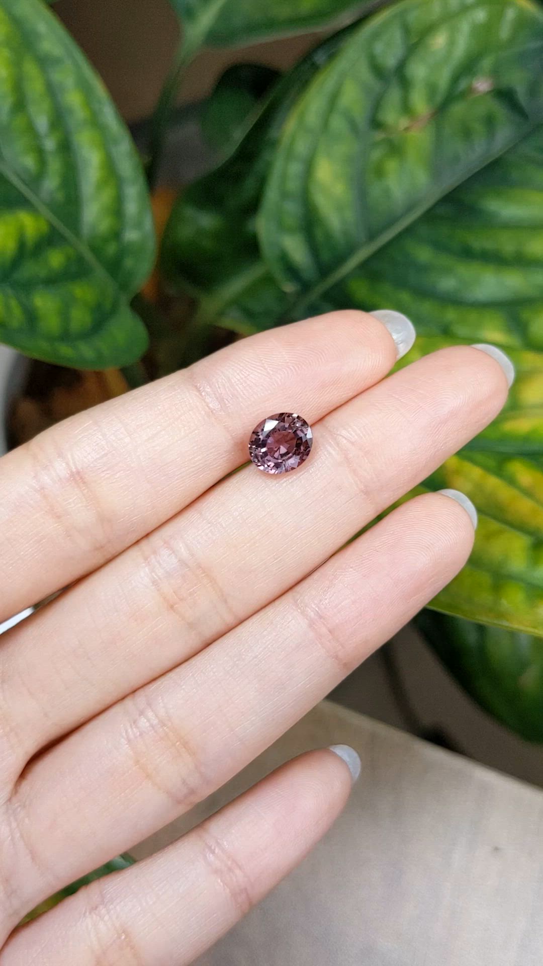 2.15 Ct. Pinkish Brown Sapphire from Ceylon (Sri Lanka) Size Video