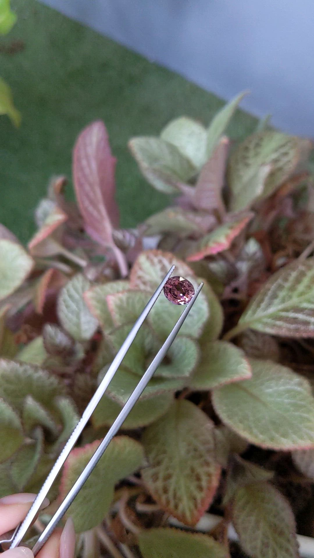 2.15 Ct. Pinkish Brown Sapphire from Ceylon (Sri Lanka) Size Video