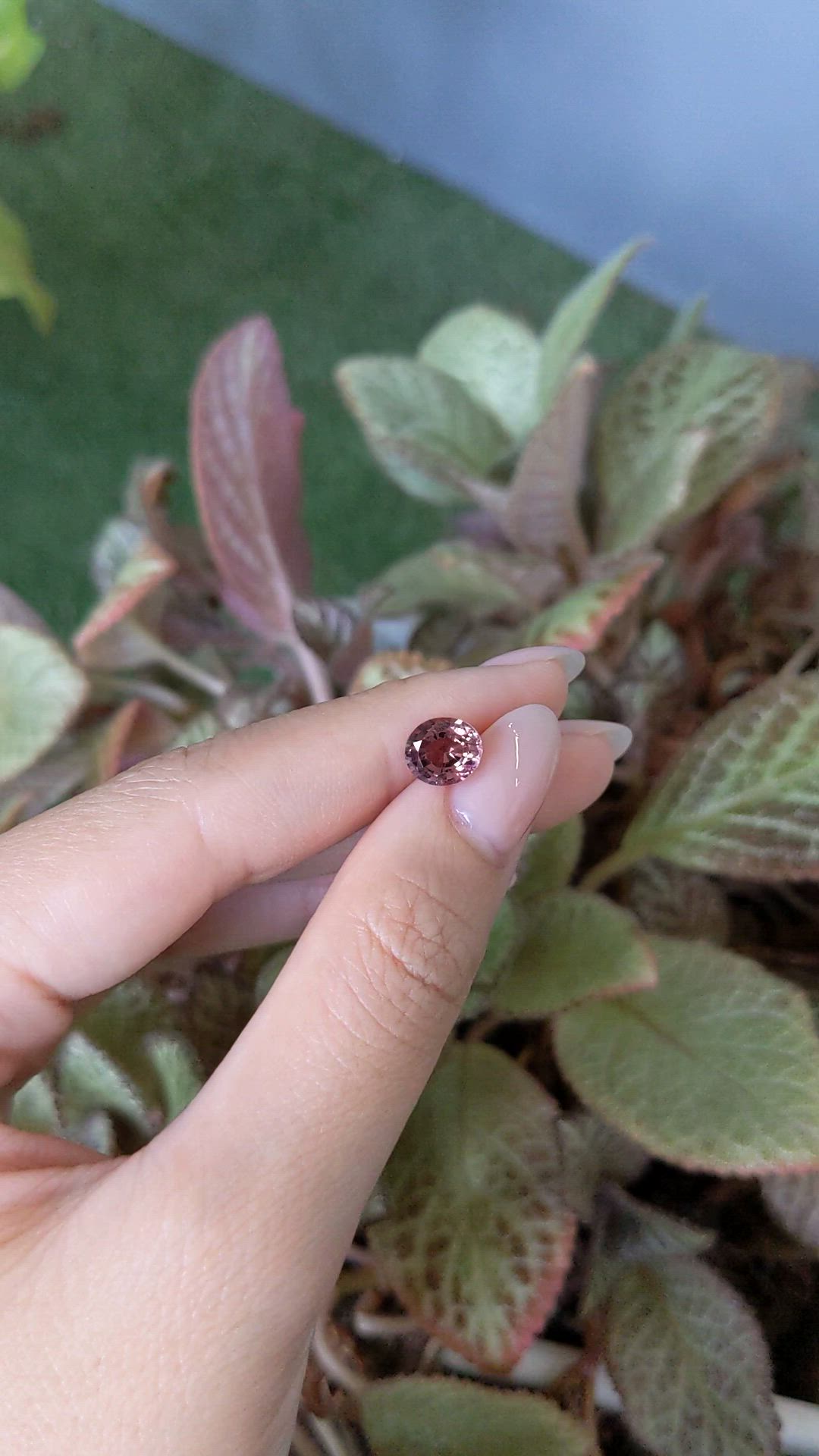 2.15 Ct. Pinkish Brown Sapphire from Ceylon (Sri Lanka) Size Video