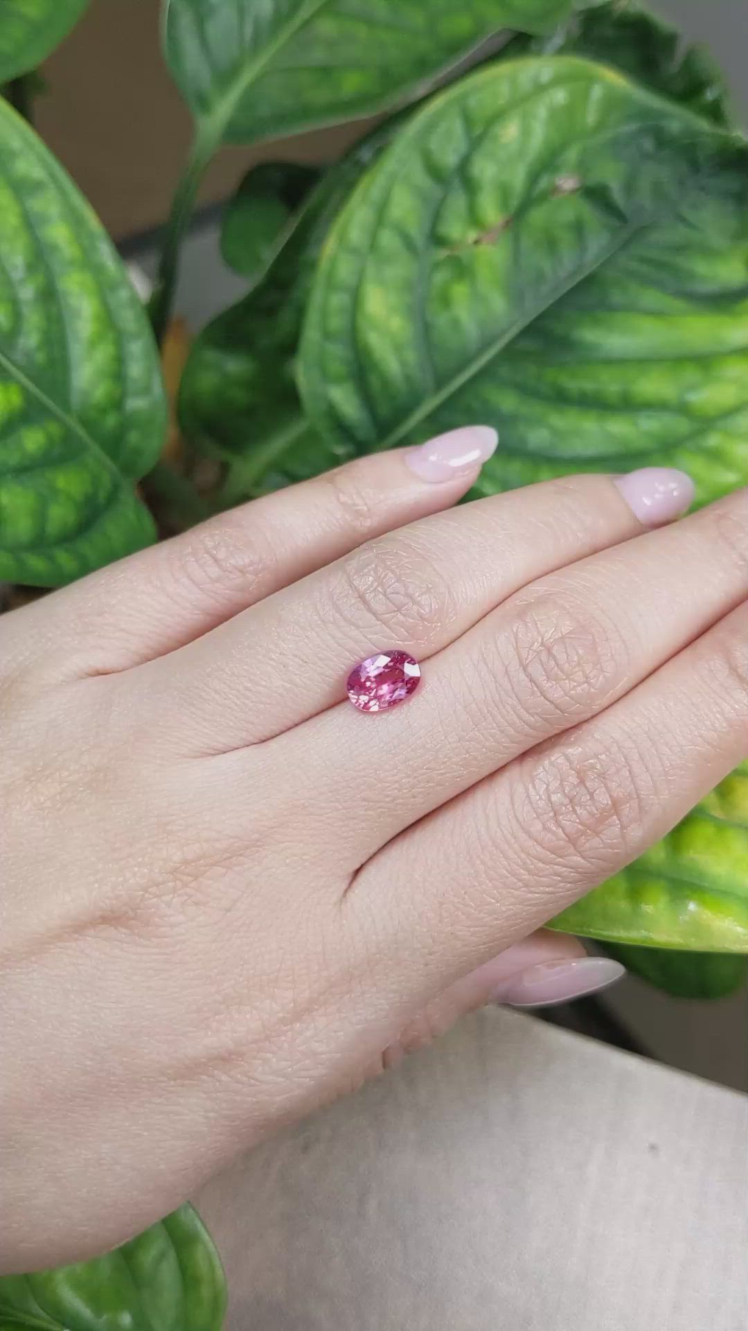1.85 Ct. Pink Sapphire from Ceylon (Sri Lanka) Size Video