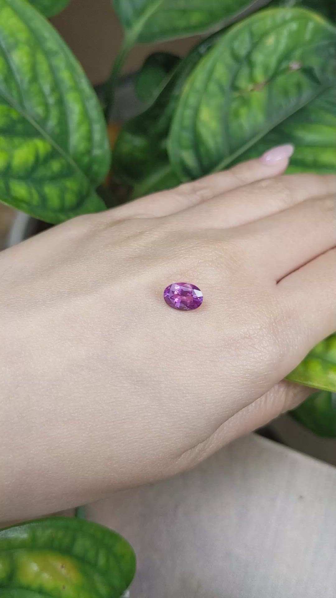 2.00 Ct. Pinkish Purple Sapphire from Ceylon (Sri Lanka) Size Video
