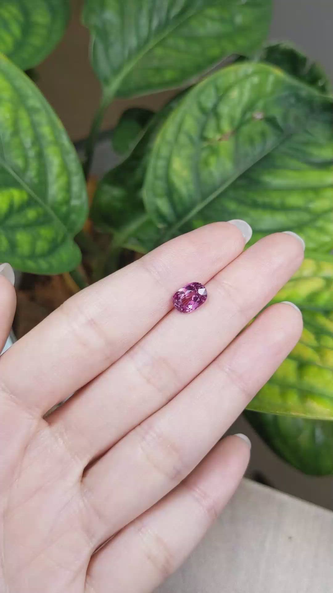 1.87 Ct. Purplish Pink Sapphire from Ceylon (Sri Lanka) Size Video