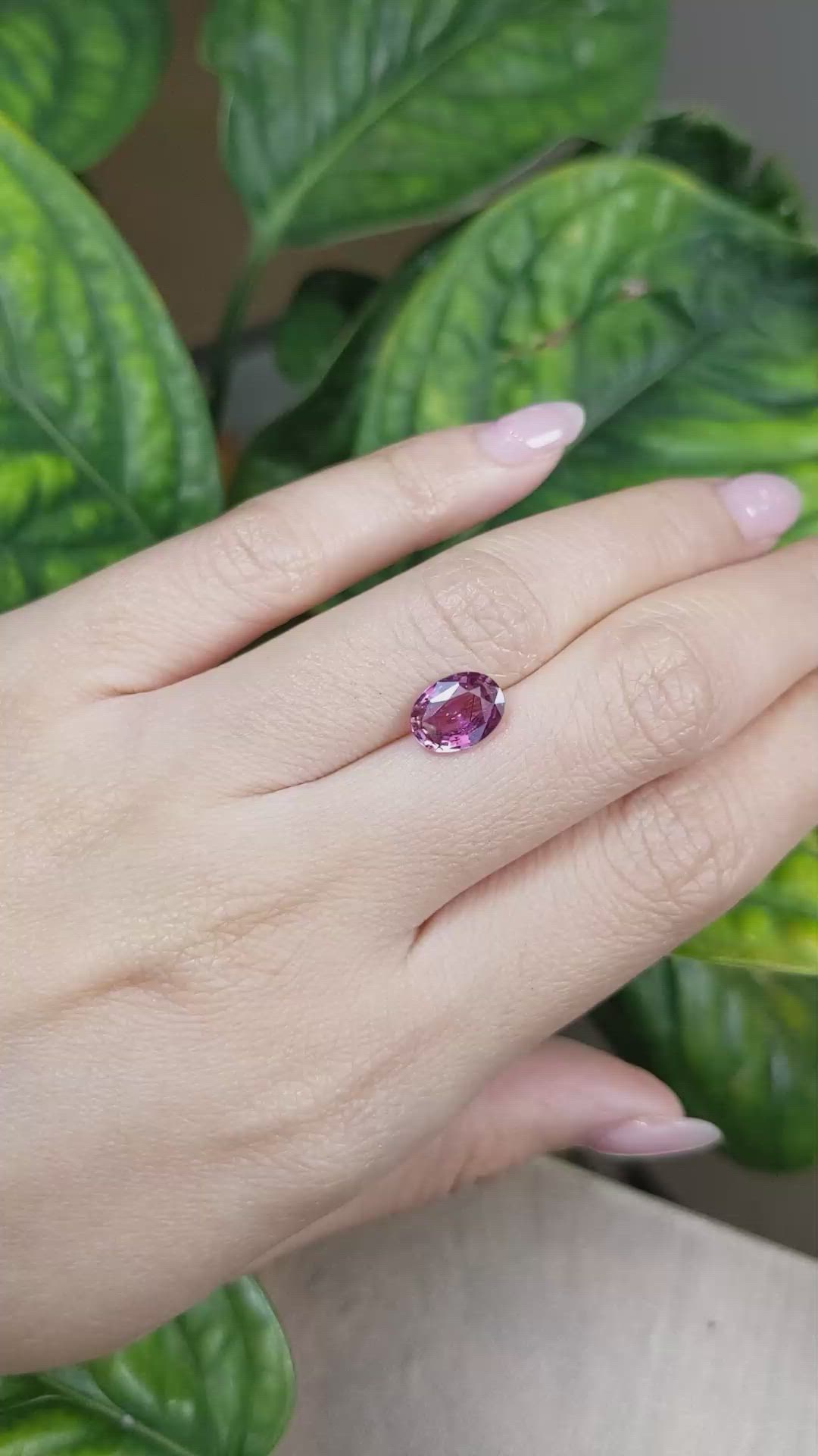 2.19 Ct. Purplish Pink Sapphire from Ceylon (Sri Lanka) Size Video