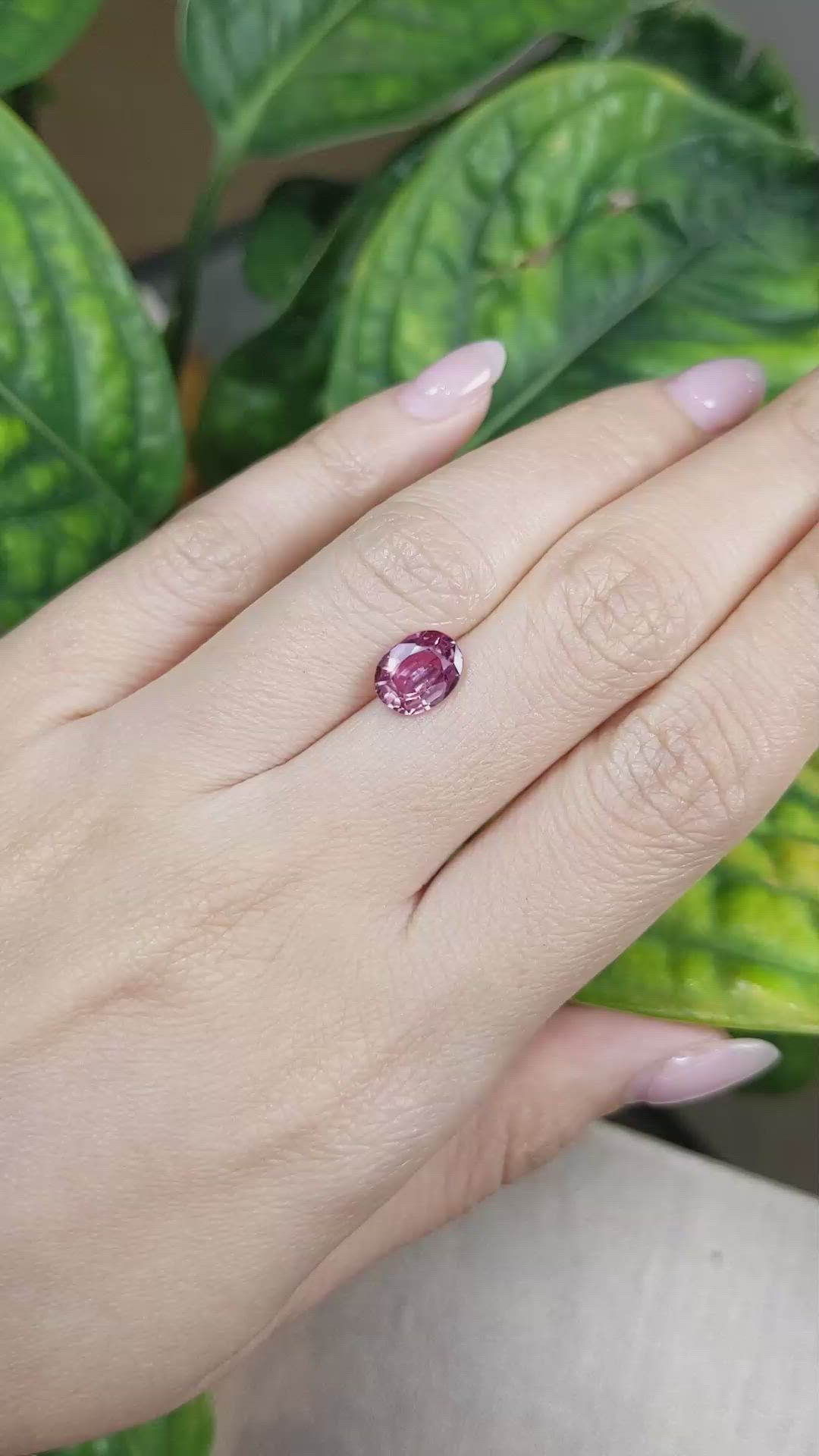 2.05 Ct. Reddish Pink Sapphire from Ceylon (Sri Lanka) Size Video