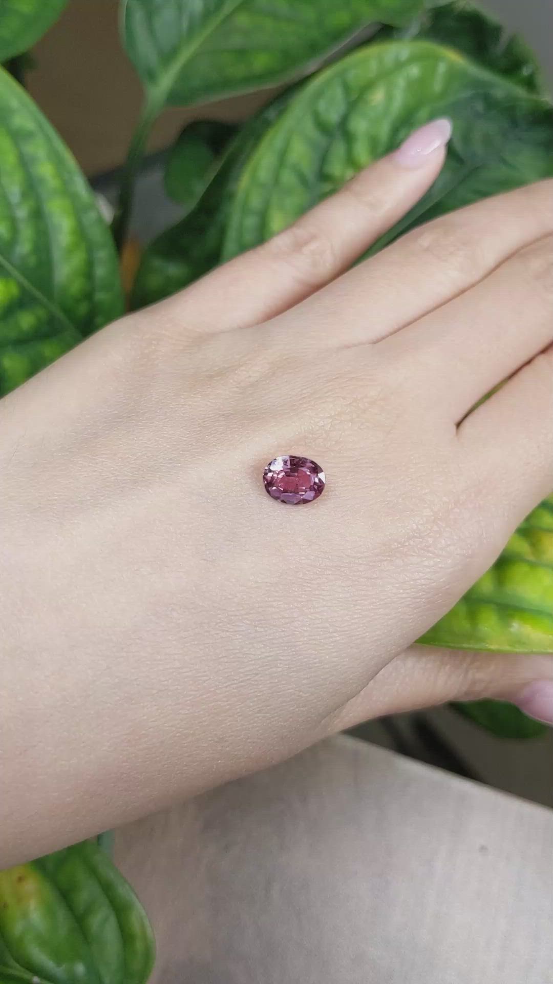 2.05 Ct. Reddish Pink Sapphire from Ceylon (Sri Lanka) Size Video
