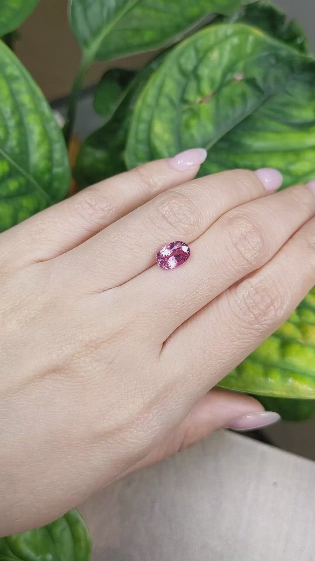 2.36 Ct. Pink Sapphire from Ceylon (Sri Lanka) Size Video
