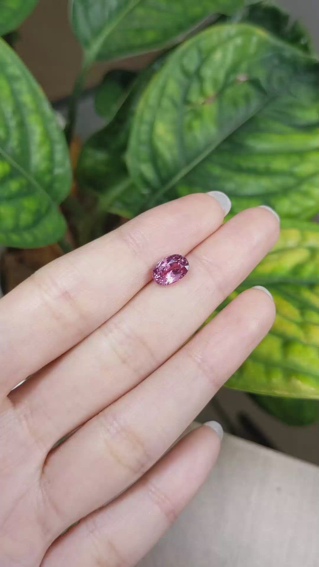 2.36 Ct. Pink Sapphire from Ceylon (Sri Lanka) Size Video