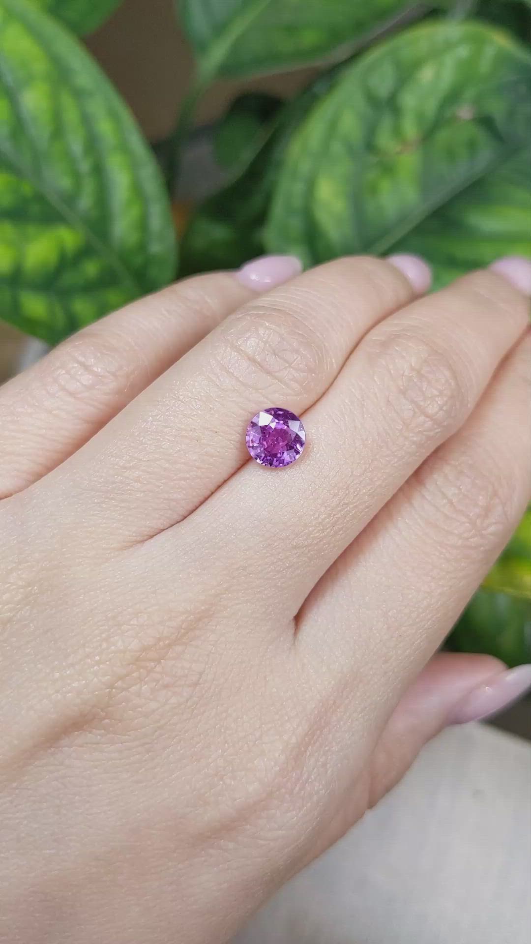 1.72 Ct. Purplish Pink Sapphire from Ceylon (Sri Lanka) Size Video