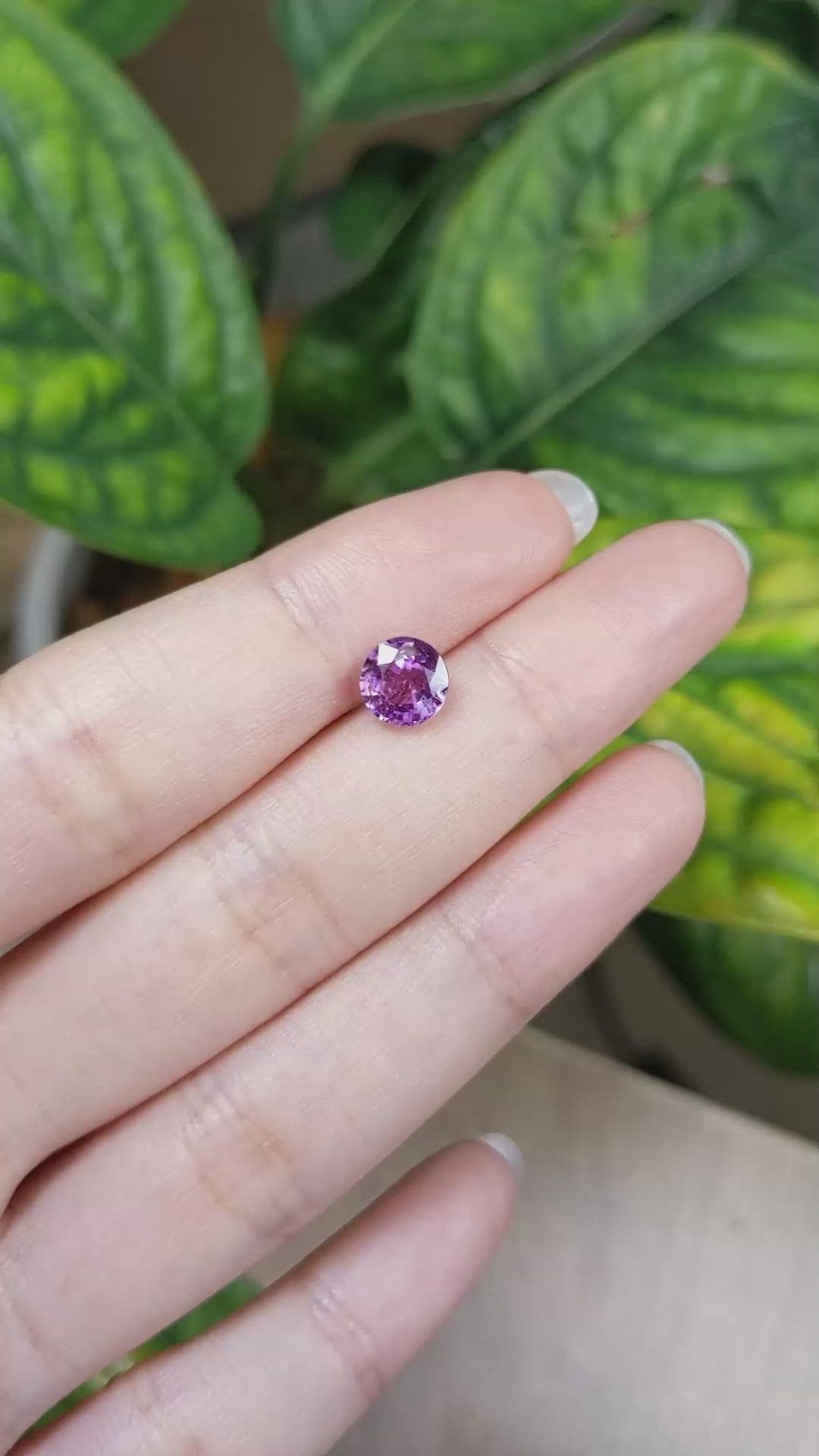 1.72 Ct. Purplish Pink Sapphire from Ceylon (Sri Lanka) Size Video