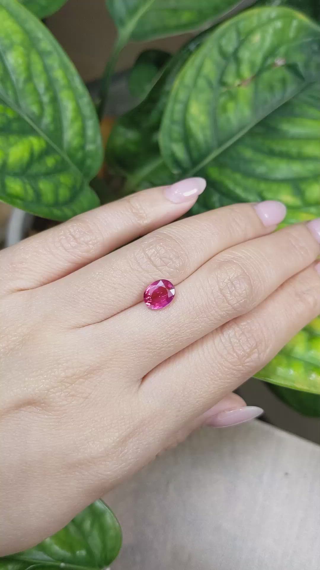 2.07 Ct. Pink Sapphire from Ceylon (Sri Lanka) Size Video