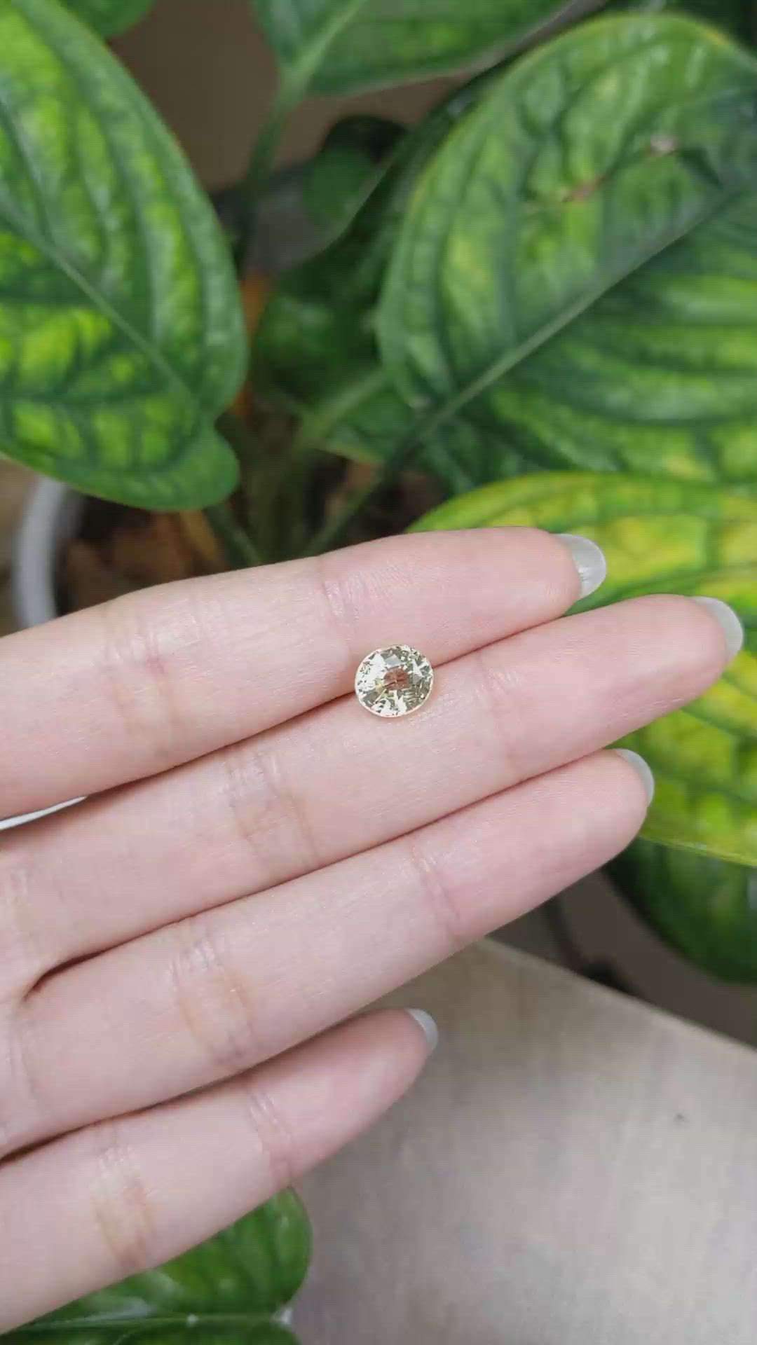 2.27 Ct. Yellow Sapphire from Ceylon (Sri Lanka) Size Video