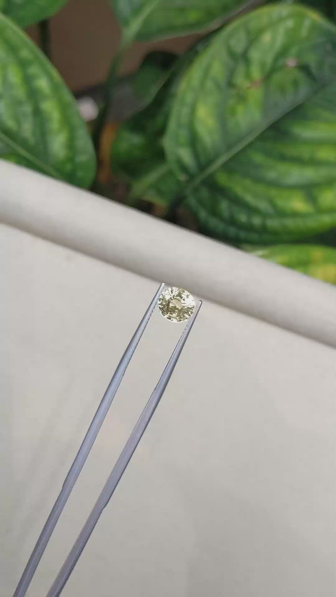 2.27 Ct. Yellow Sapphire from Ceylon (Sri Lanka) Size Video