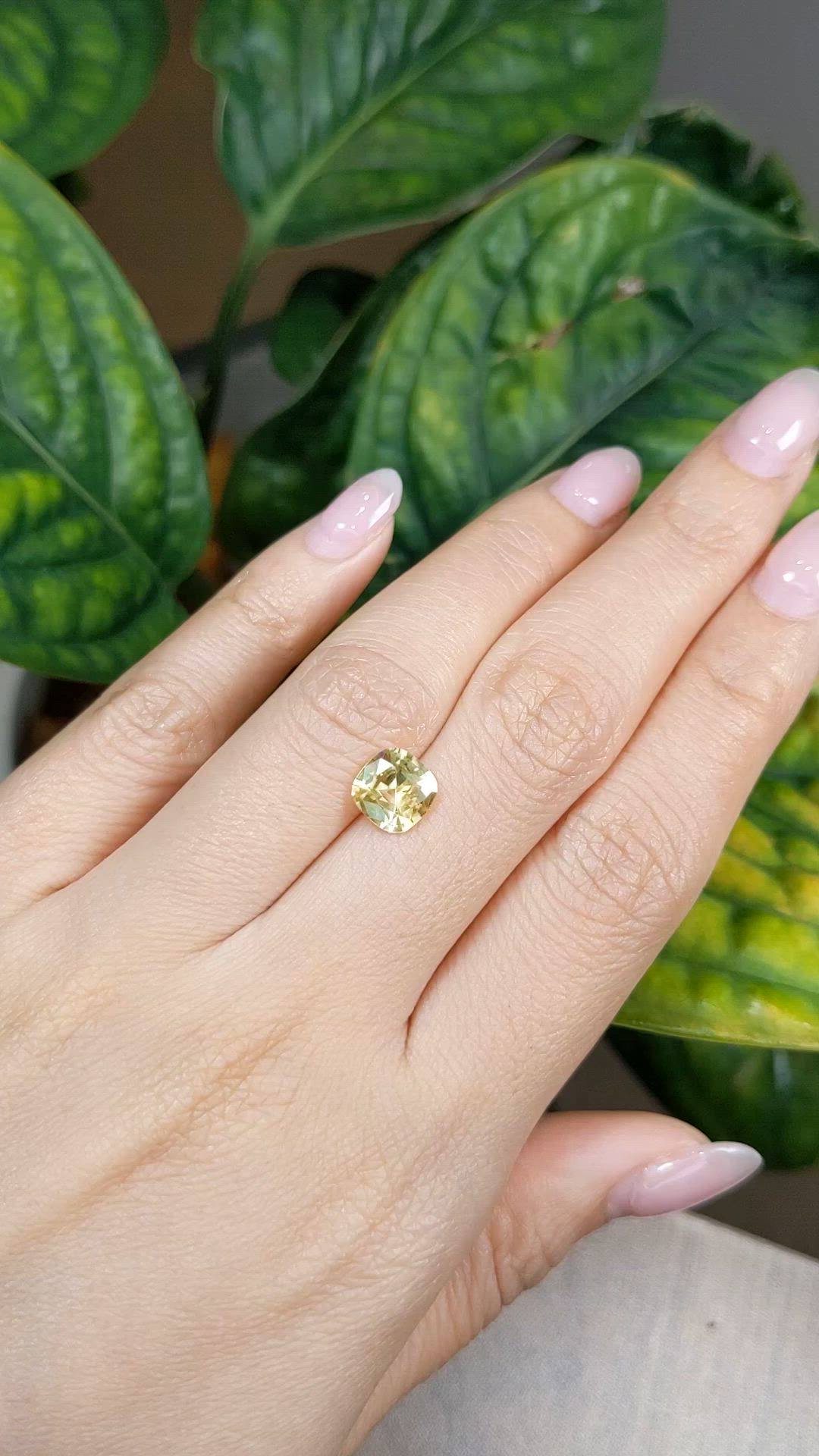 2.00 Ct. Yellow Sapphire from Ceylon (Sri Lanka) Size Video