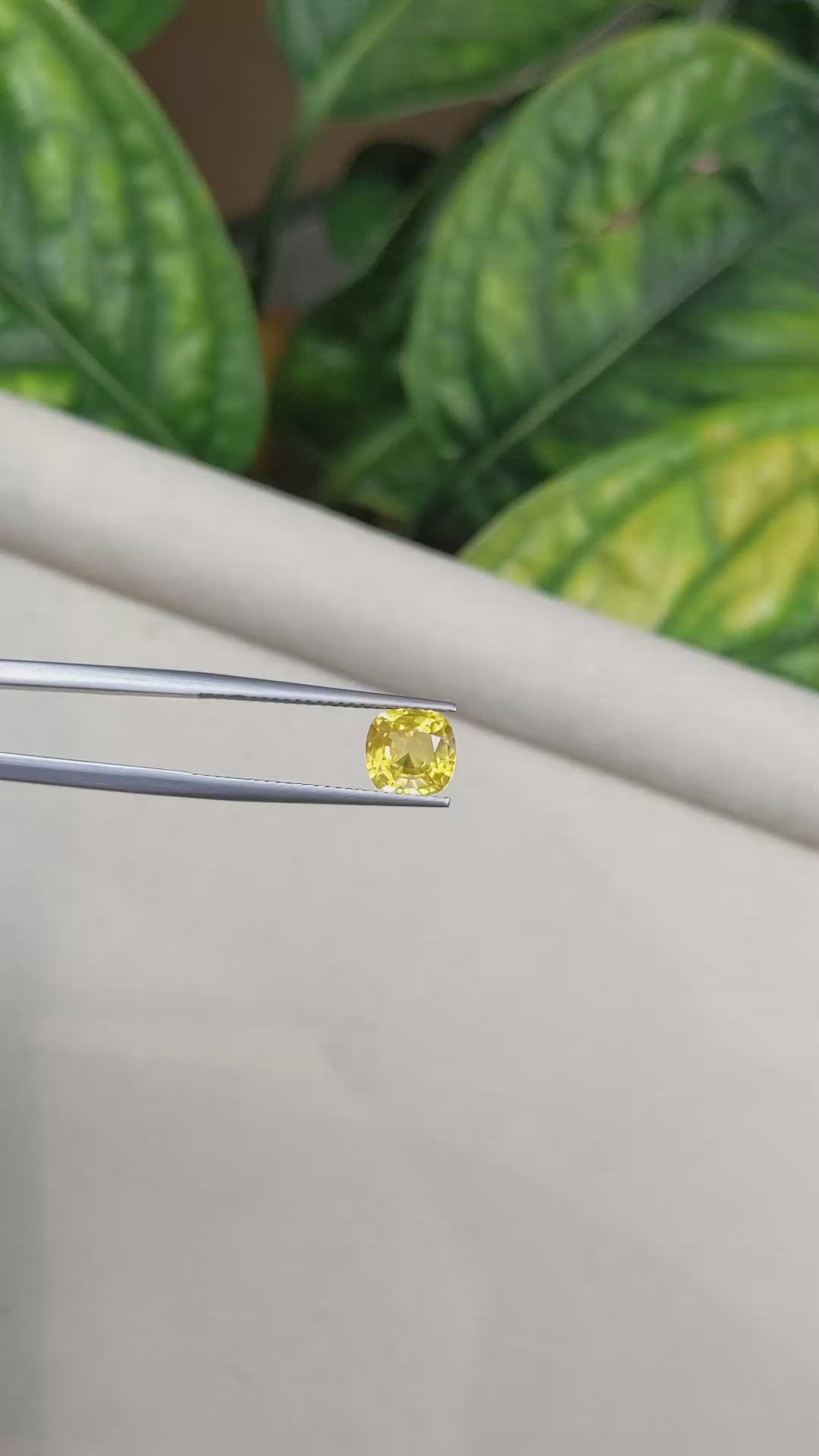 1.97 Ct. Yellow Sapphire from Ceylon (Sri Lanka) Size Video
