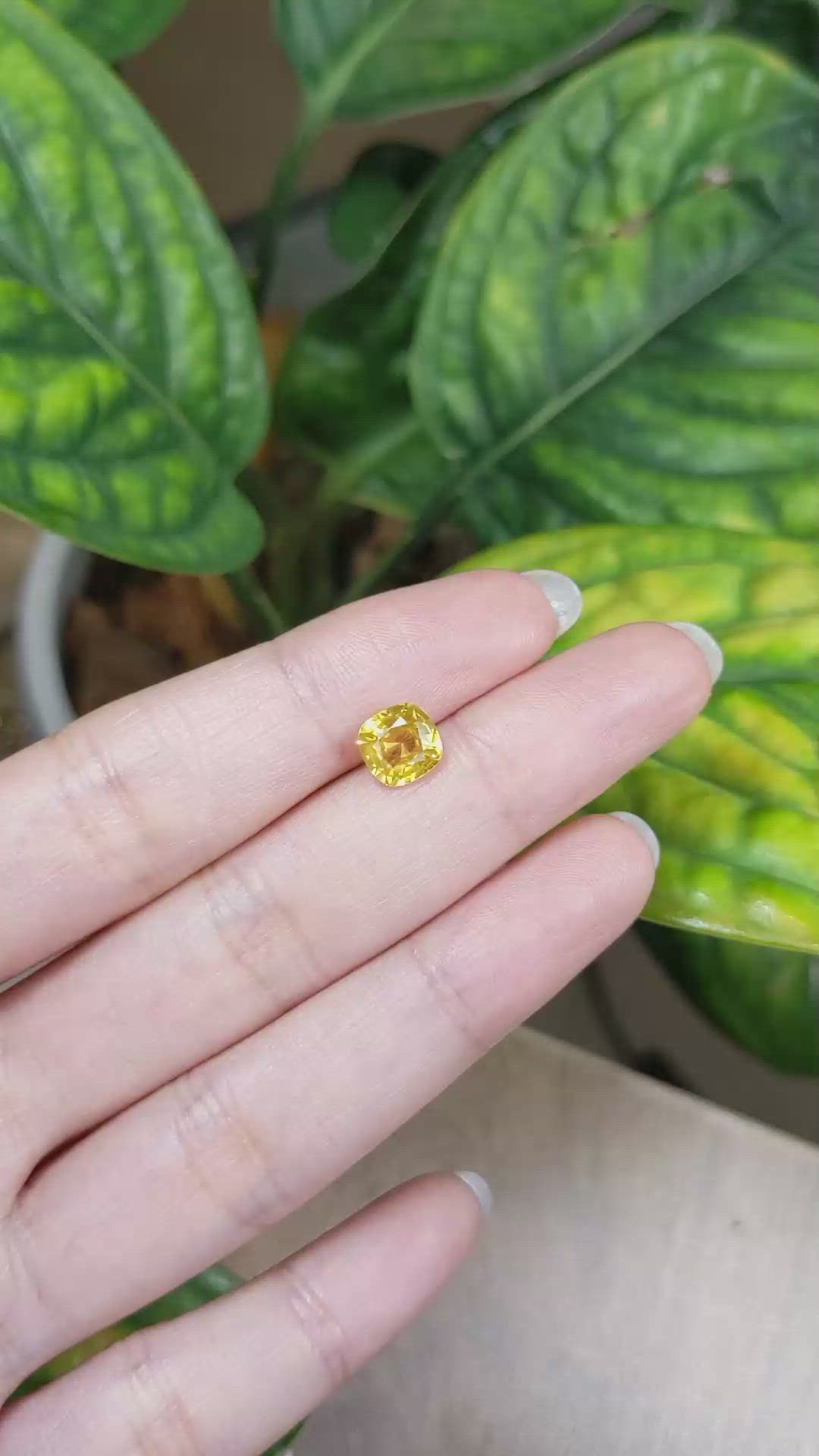 1.97 Ct. Yellow Sapphire from Ceylon (Sri Lanka) Size Video