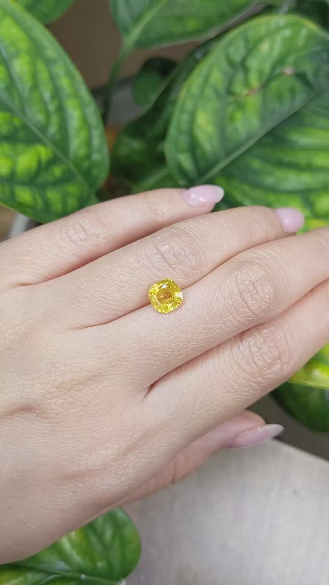 1.97 Ct. Yellow Sapphire from Ceylon (Sri Lanka) Size Video
