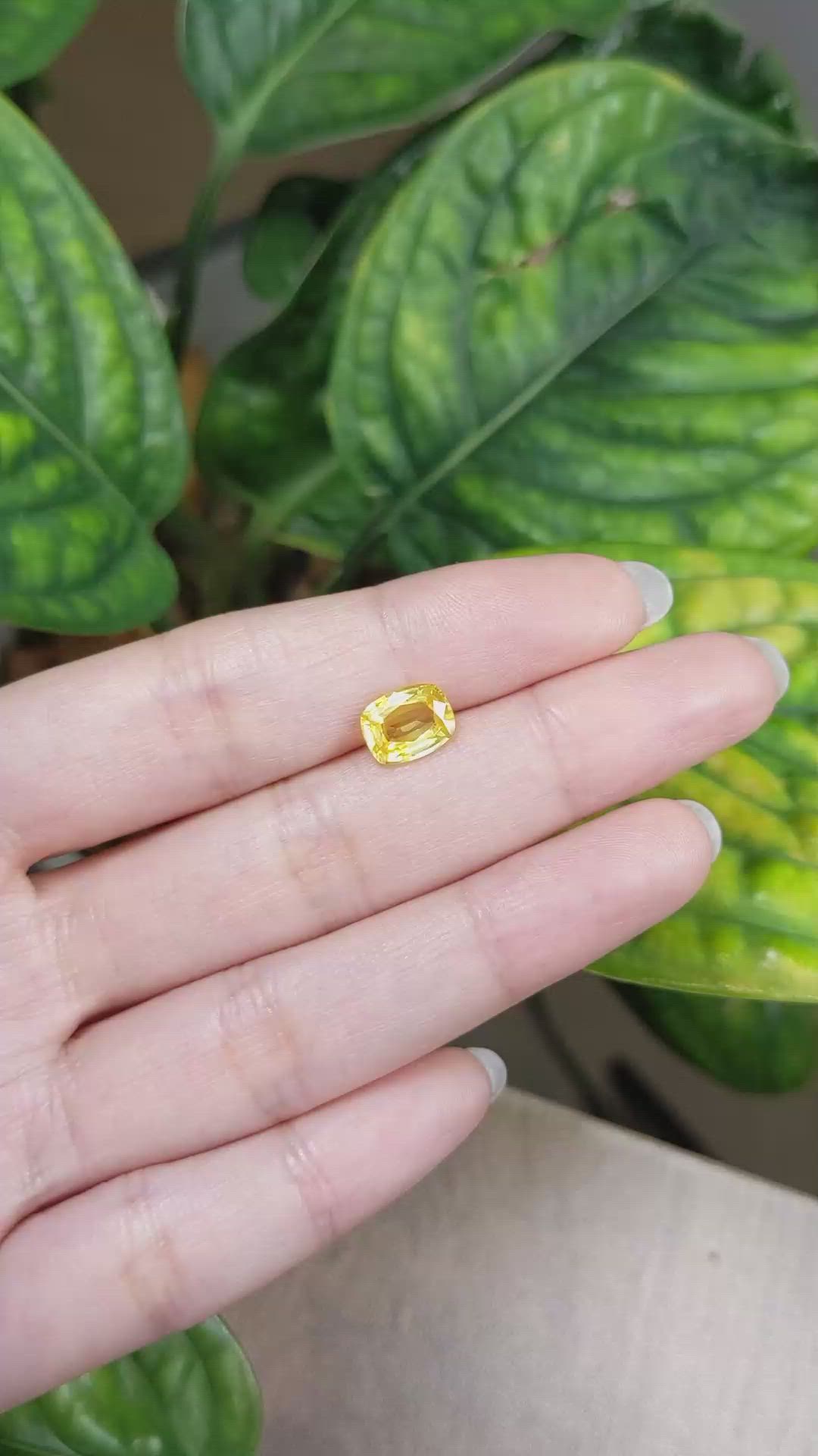 2.18 Ct. Yellow Sapphire from Ceylon (Sri Lanka) Size Video