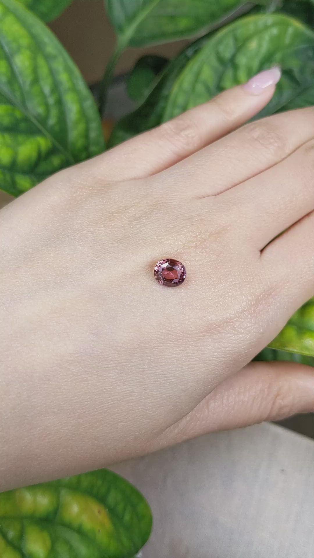 1.74 Ct. Reddish Pink Sapphire from Ceylon (Sri Lanka) Size Video
