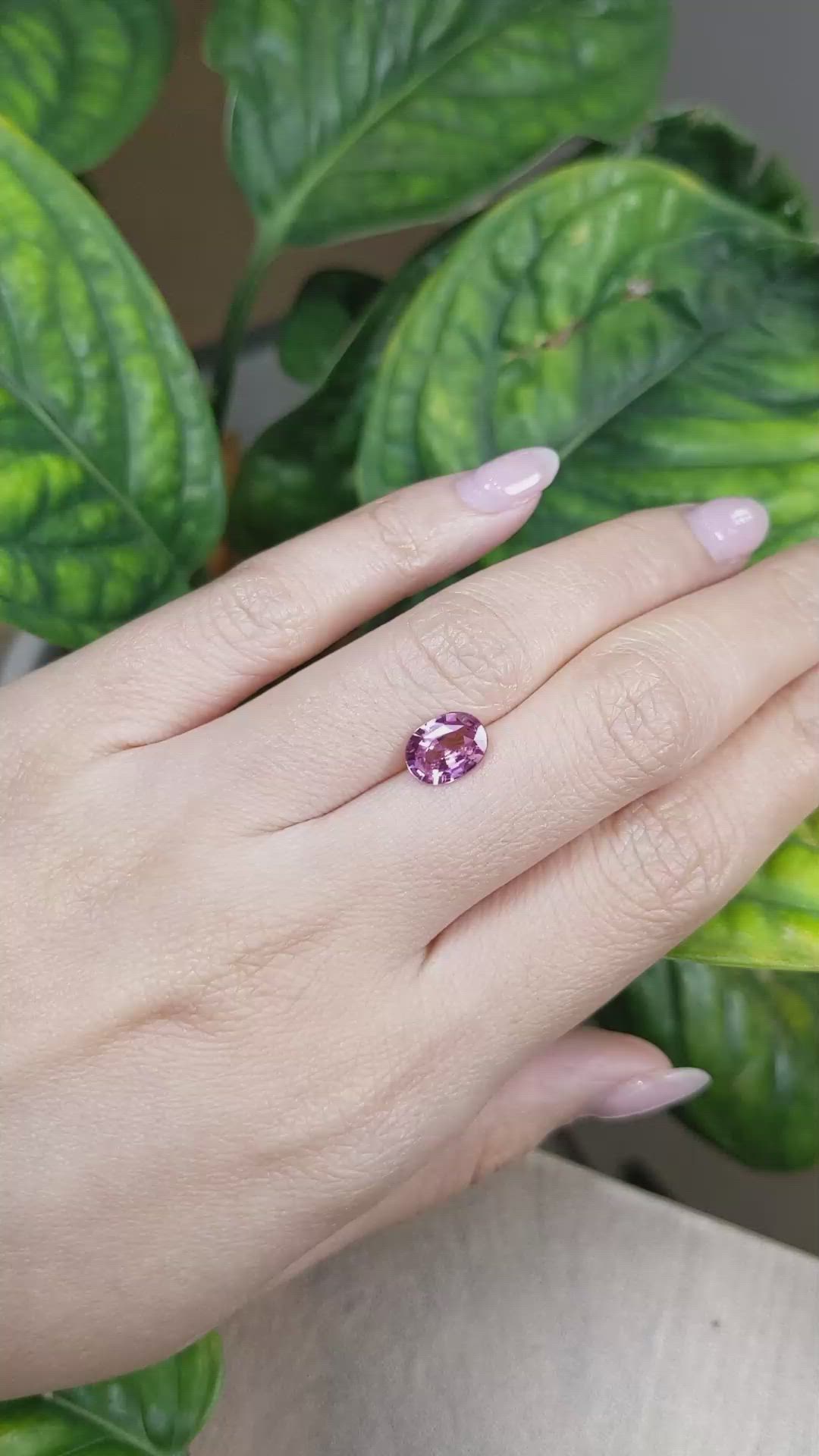 1.82 Ct. Pink Sapphire from Ceylon (Sri Lanka) Size Video