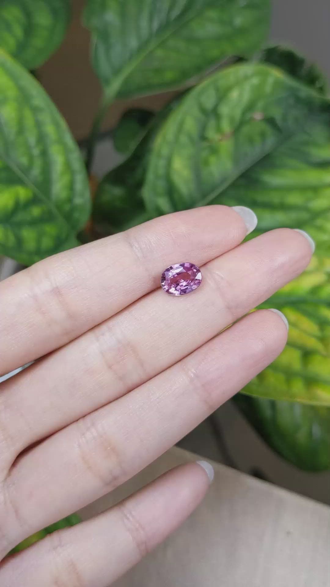 1.82 Ct. Pink Sapphire from Ceylon (Sri Lanka) Size Video