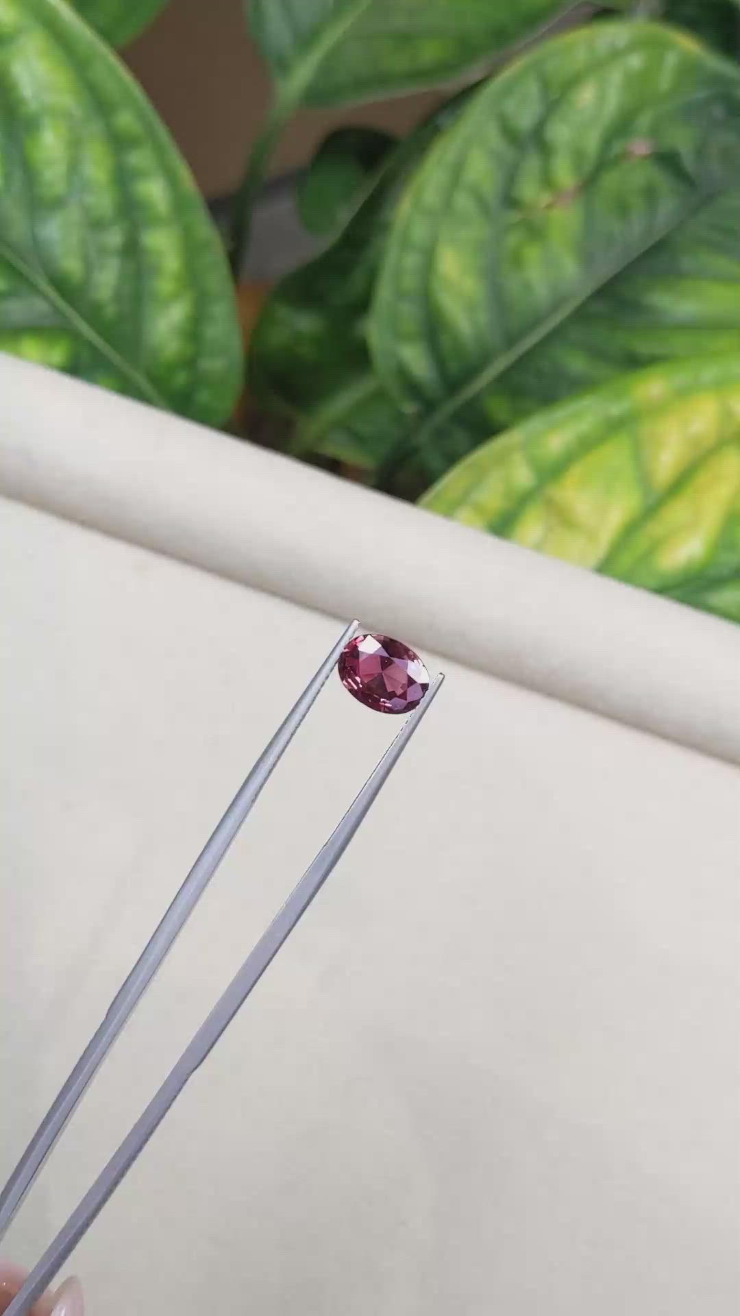 2.16 Ct. Reddish Pink Sapphire from Ceylon (Sri Lanka) Size Video