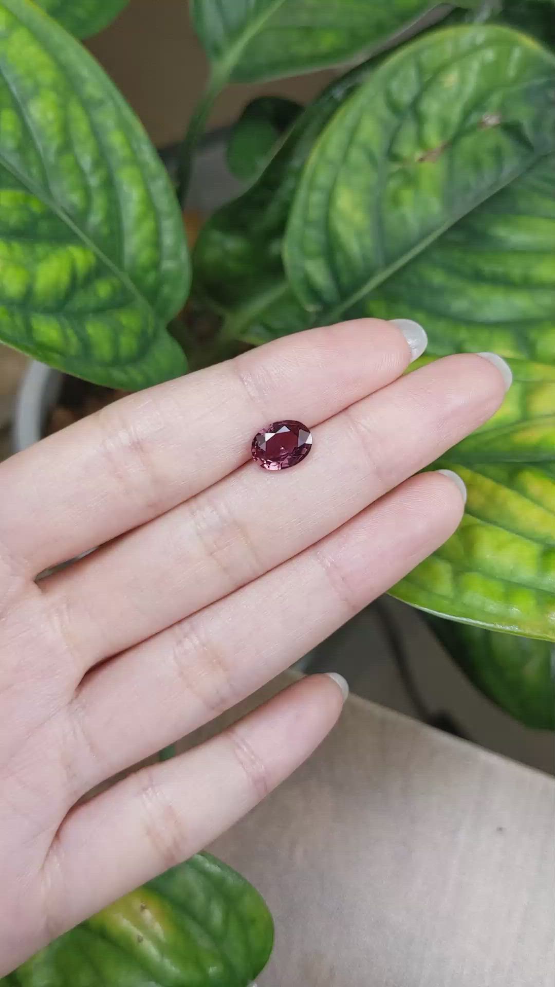 2.16 Ct. Reddish Pink Sapphire from Ceylon (Sri Lanka) Size Video