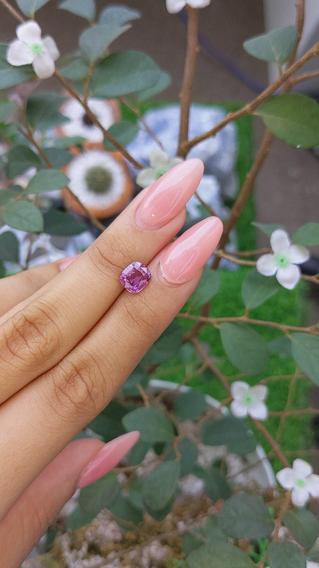 2.02 Ct. Pinkish Purple Sapphire from Ceylon (Sri Lanka) Size Video