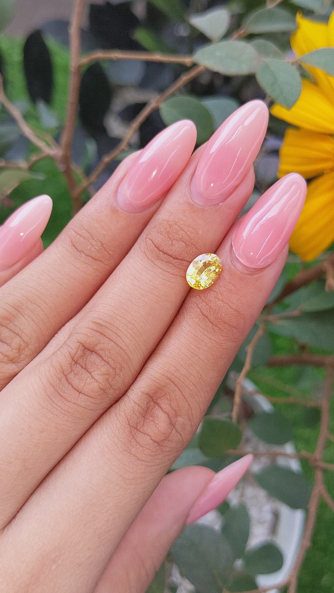 1.47 Ct. Yellow Sapphire from Ceylon (Sri Lanka) Size Video